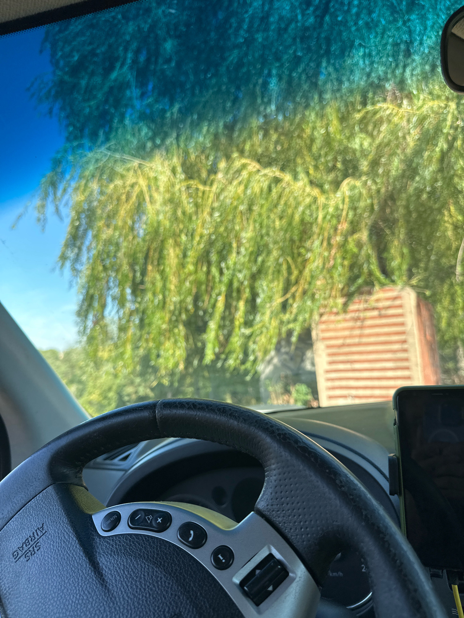The image shows the interior of a car, looking out through the windshield. The steering wheel is in the foreground, with control buttons visible on the left side. A smartphone is mounted to the right of the steering wheel. Outside the car, a large tree with green foliage is visible, along with a brick structure. The sky is blue. The scene appears to be in Makiv, Ukraine.