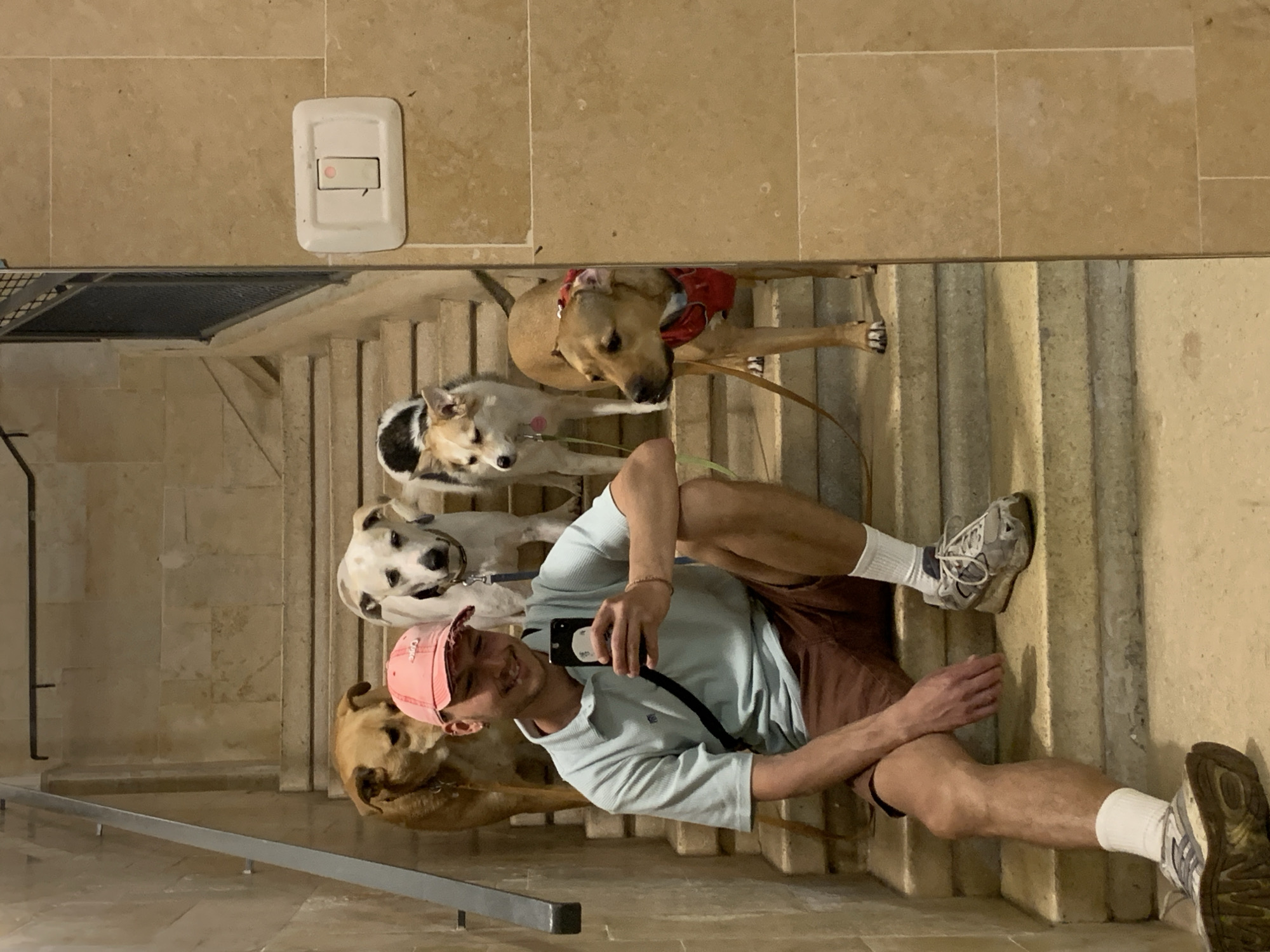 A person wearing a light blue shirt, brown shorts, white socks, and sneakers is sitting on the steps, holding a mobile phone in their right hand and taking a photo of themselves with four dogs on the stairs. The dogs are on leashes and appear to be a mix of breeds, one wearing a red bandana. The steps are light beige. The location appears to be indoors, near a wall with beige tiling and a light switch. The city of Tel-Aviv, Israel is not clearly discernible from the image.