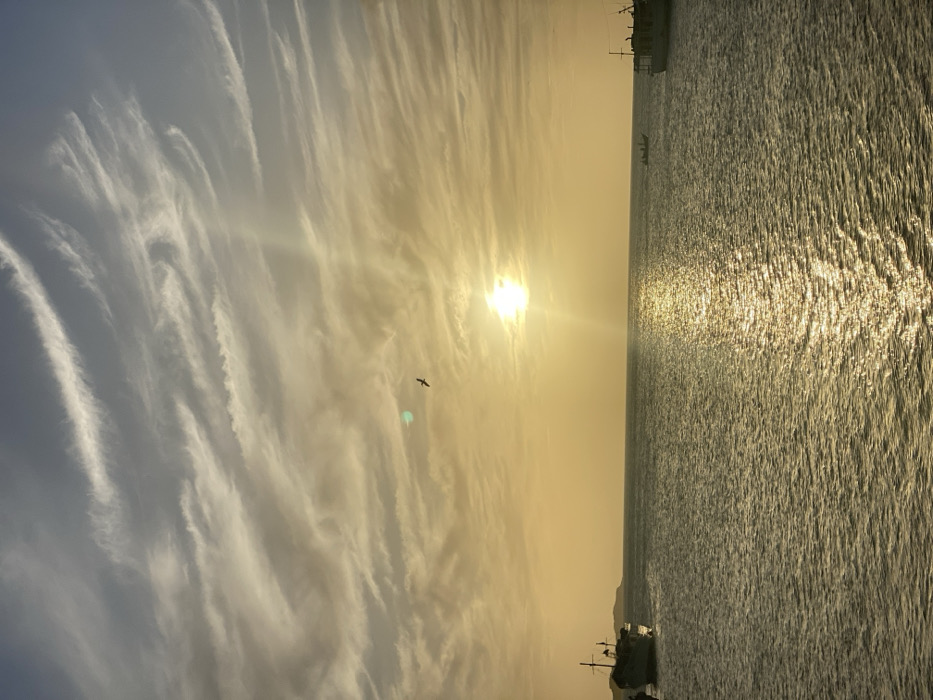 The image depicts a sunset over a body of water in Juan Griego, Venezuela. The sky occupies the upper two-thirds of the frame, transitioning from pale blue at the top to intense golden-yellow near the horizon. Wispy, elongated cirrus clouds are visible across the sky. The sun, a bright circular disk, is positioned slightly right of the vertical center, near the horizon, casting prominent rays upwards and a shimmering golden reflection path across the water. A single, dark silhouetted bird is captured in flight in the upper-left quadrant of the sky.
The lower third of the image shows the rippled surface of the water. On the far left, the stern and mast structure of a large, dark-hulled vessel is partially visible, appearing to be moored or anchored. A distant, dark landmass is present on the horizon behind this vessel. On the far right, the stern and superstructure of another large, light-colored vessel are partially visible, also appearing moored or anchored. In the middle distance, to the right of the sun's reflection, a small, dark, low-profile boat containing an estimated two to three individuals is moving across the water towards the right.