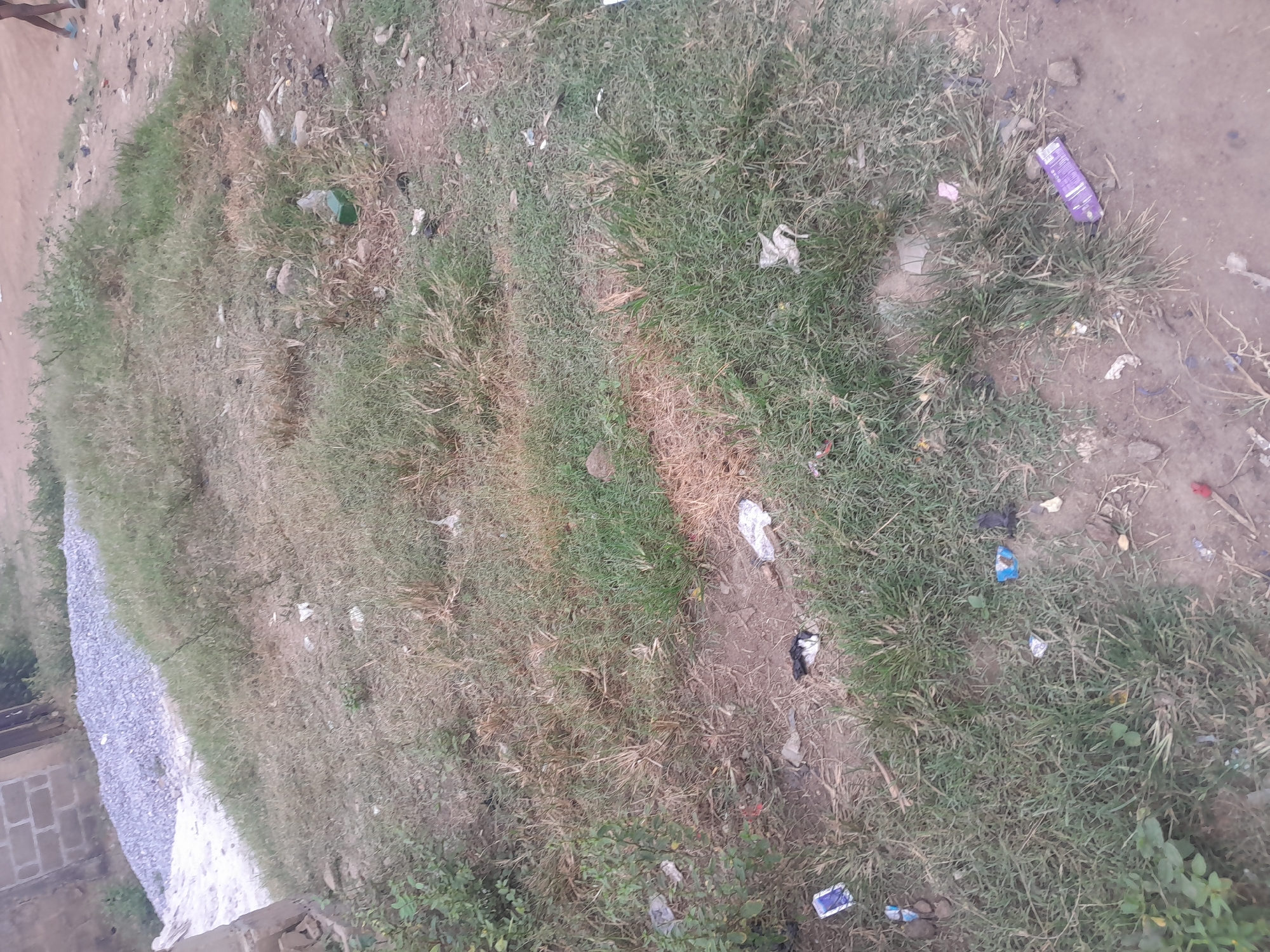 The image depicts an outdoor scene in Ifo, Nigeria, characterized by a mix of natural ground cover and discarded items. The foreground and midground consist of uneven terrain featuring patches of green and dry brown grass interspersed with exposed dirt and small stones. Scattered extensively across these areas are various pieces of litter, including multiple plastic wrappers (identifiable colors: purple, blue, white, black), what appears to be a green plastic bottle, and other unidentifiable debris.
On the left side, towards the mid-ground, a large pile of light grey aggregate (gravel) is visible on a dirt patch. Adjacent to this pile, to the left, is a quantity of white material, possibly sand or cement. Behind these materials, partial views of a building constructed from grey concrete blocks are discernible.
In the upper right portion of the frame, the lower legs and feet of a person are visible, walking away from the camera on a dirt path. The person is wearing light blue open-toed footwear. The overall environment appears to be an unpaved area, potentially a roadside or undeveloped lot within a residential or transitional zone, with signs of human activity and waste accumulation. The lighting suggests daylight conditions.