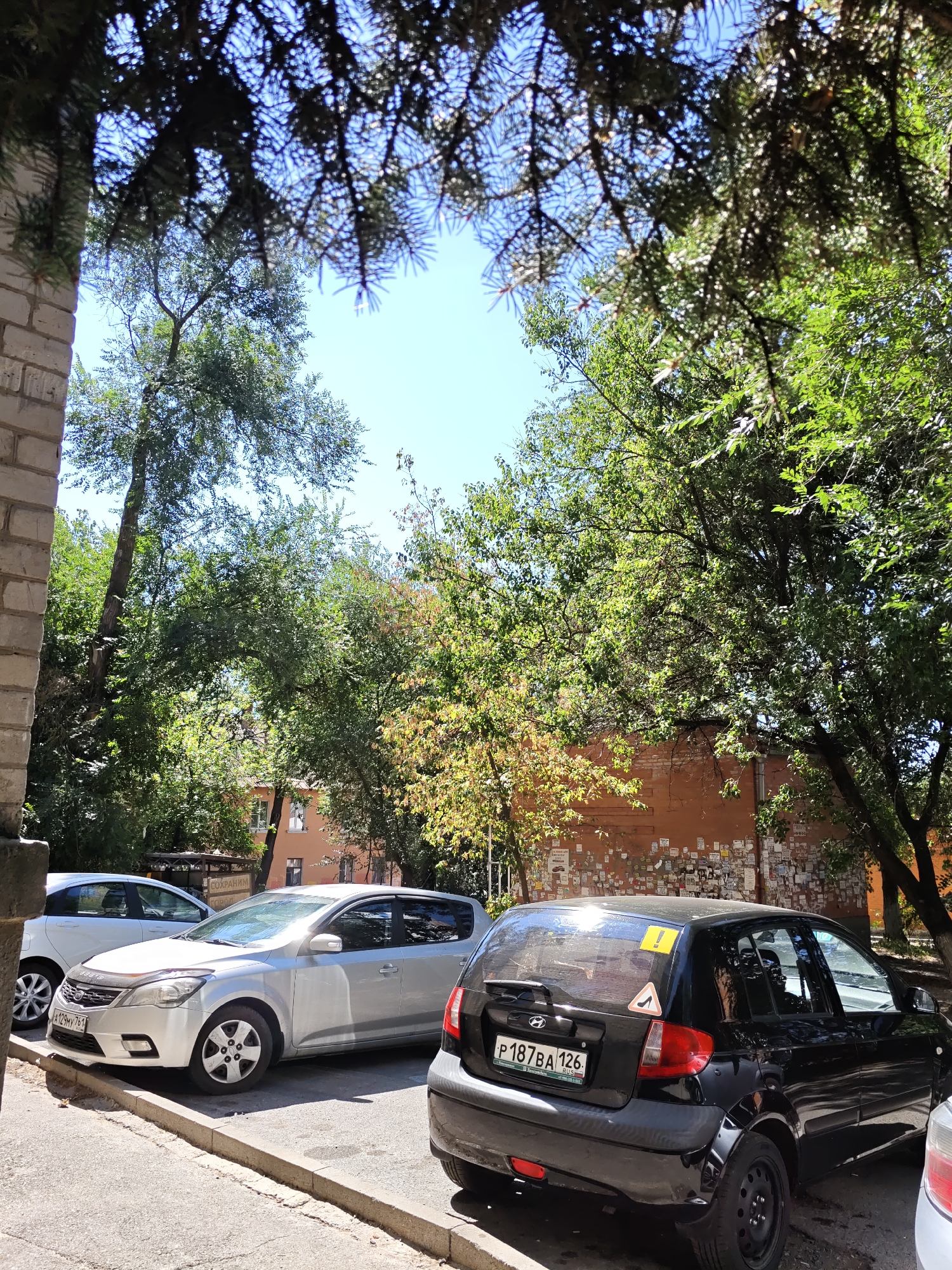 The image captures a sunlit urban scene in Rostov-on-Don, Russia, likely a residential area. In the foreground, two cars are parked along a curb. The car closest to the viewer is a black Hyundai Getz, its rear license plate visible as "P187BA 126 RUS". A yellow warning sticker featuring a high-heeled shoe is affixed to the rear window. To its left, a silver sedan, possibly a Kia Cee'd, is parked. Its front license plate is partially obscured but appears to read "A129MY 761". A white hatchback is parked further down the street on the left. The backdrop consists of a brick building with a reddish-orange facade, covered in numerous posters and notices. Mature trees with lush green foliage, some exhibiting autumn colors, cast dappled shadows on the ground and vehicles. The sky is clear and blue. The overall impression is one of a typical day in a Russian city, with parked cars amidst residential buildings and greenery.