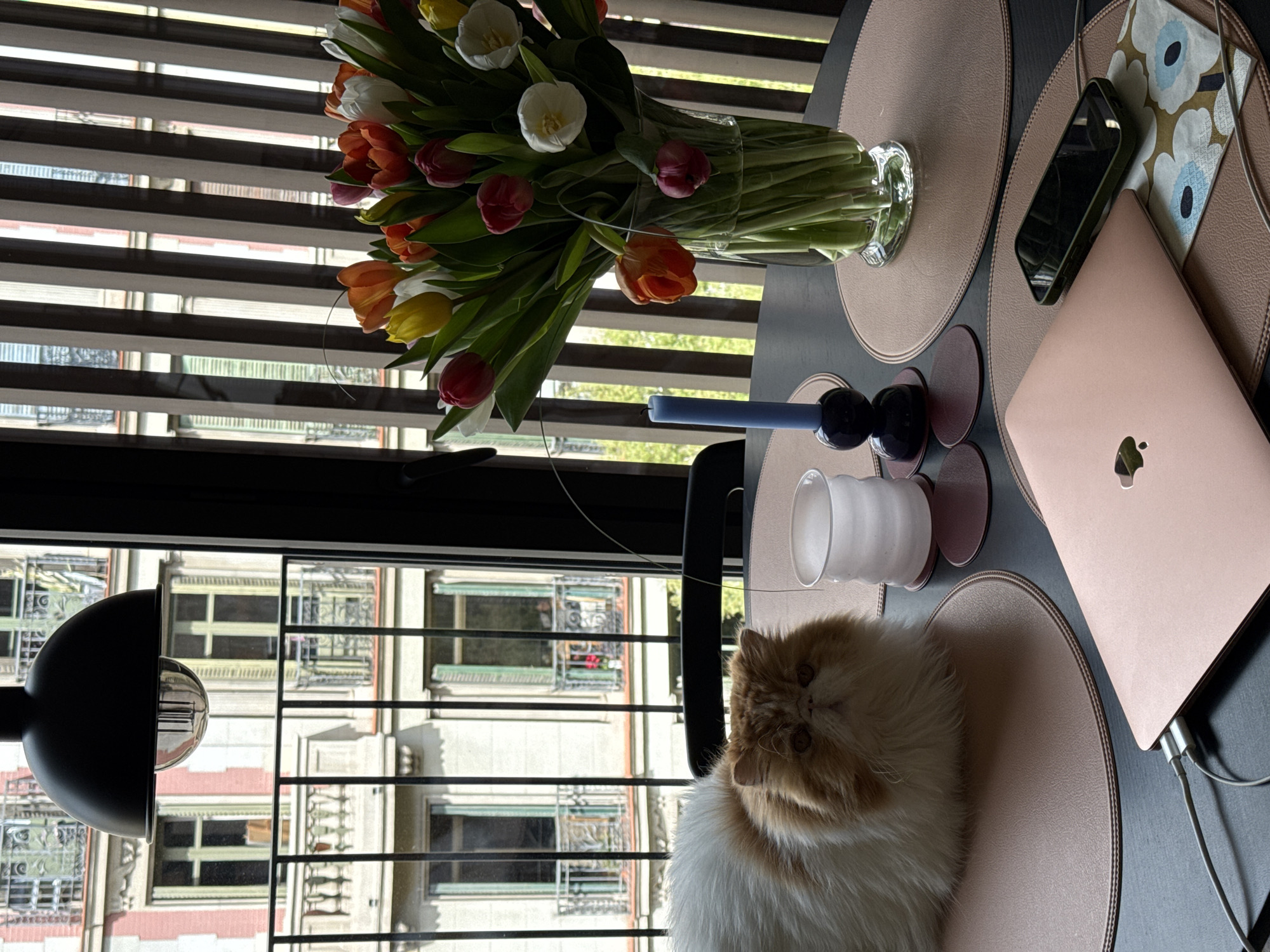 A medium shot captures a table situated in front of a window with horizontal blinds. The table is set with pink placemats. A bouquet of tulips in a glass vase is positioned at the top center of the frame. To the right of the vase, a cell phone rests on a placemat. A closed, rose-colored laptop occupies the right side of the table. A candle and a decorative glass object are placed in the center. A fluffy, white and orange cat is sitting in front of the window and to the left of the candle. The window looks out onto a street scene with buildings, which is indicative of the architecture found in Barcelona, Spain. A black light fixture is visible on the left side of the window.