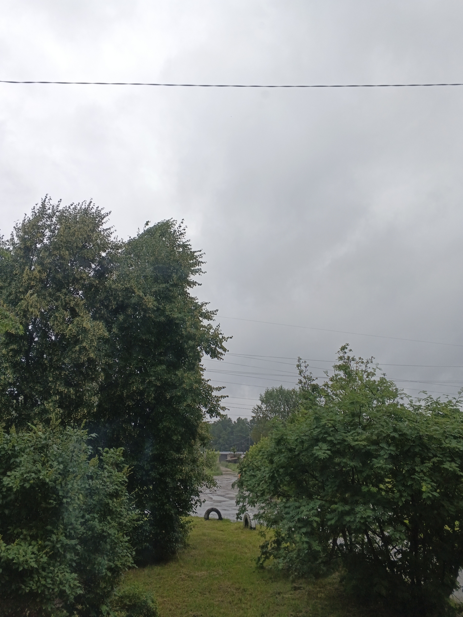 This media file captures an outdoor scene on an overcast day. The dominant subjects are lush green trees and bushes in the foreground, with a wider view of an open area behind them. In the background, a paved surface, possibly a road or parking lot, is visible, with a single tire lying on its side on the grass next to it. Utility lines are strung across the sky, suggesting the presence of infrastructure.
The weather appears to be cloudy and possibly damp, contributing to the muted lighting of the scene. The time of day is unclear due to the overcast conditions, but the overall mood is subdued and natural. There are no people or animals visible in the frame. The setting appears to be a semi-rural or industrial area, given the presence of the utility lines and the paved area with the tire. No text is discernible within the image.