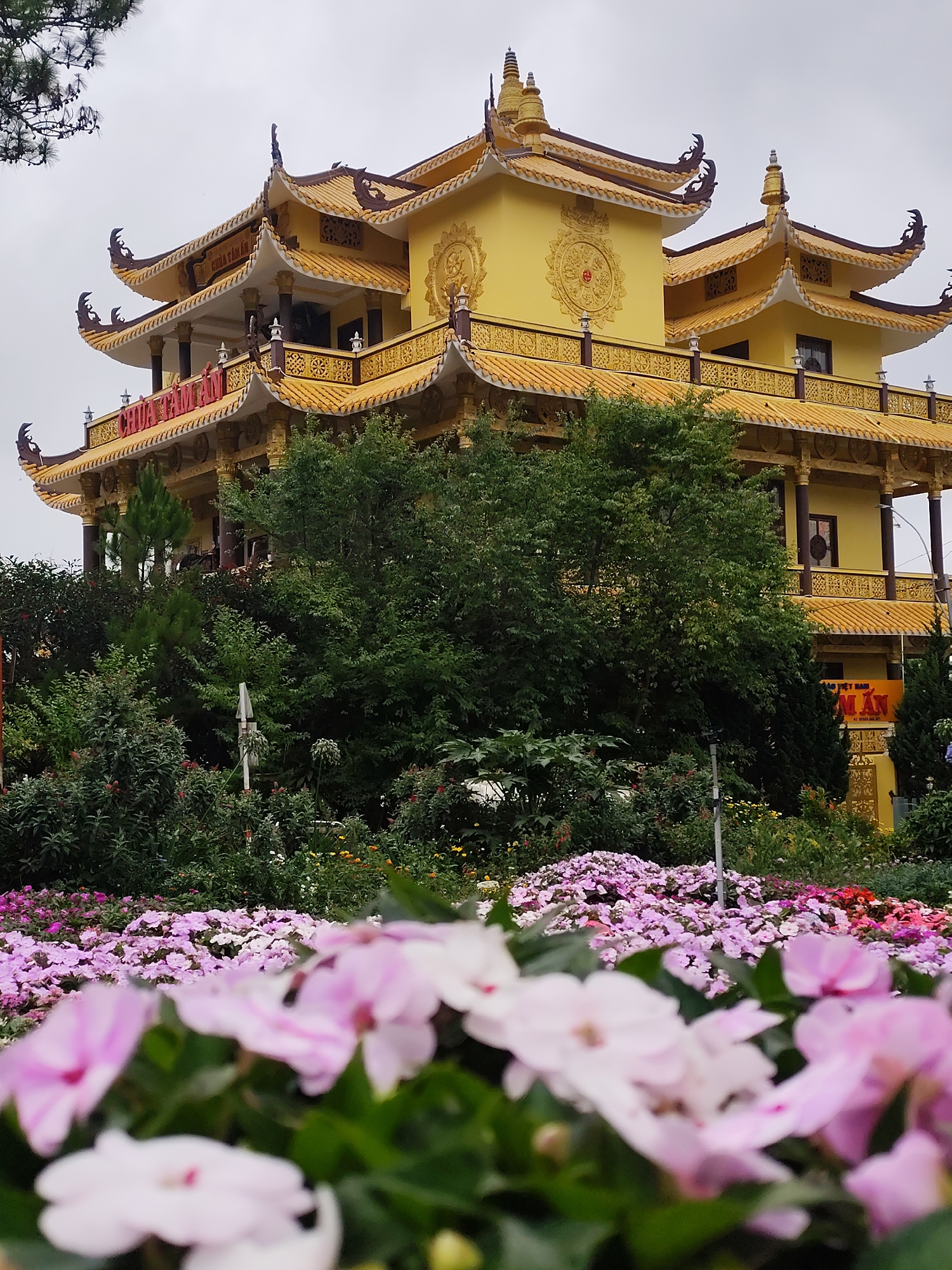 The image captures the elaborate three-story yellow-colored Chua Tam An Buddhist temple in Da Lat, Vietnam, viewed through a foreground of pink and white flowers. The temple features tiered pagoda roofs, decorative golden embellishments, and red signage. It is surrounded by lush greenery and flower gardens. The sky appears overcast.