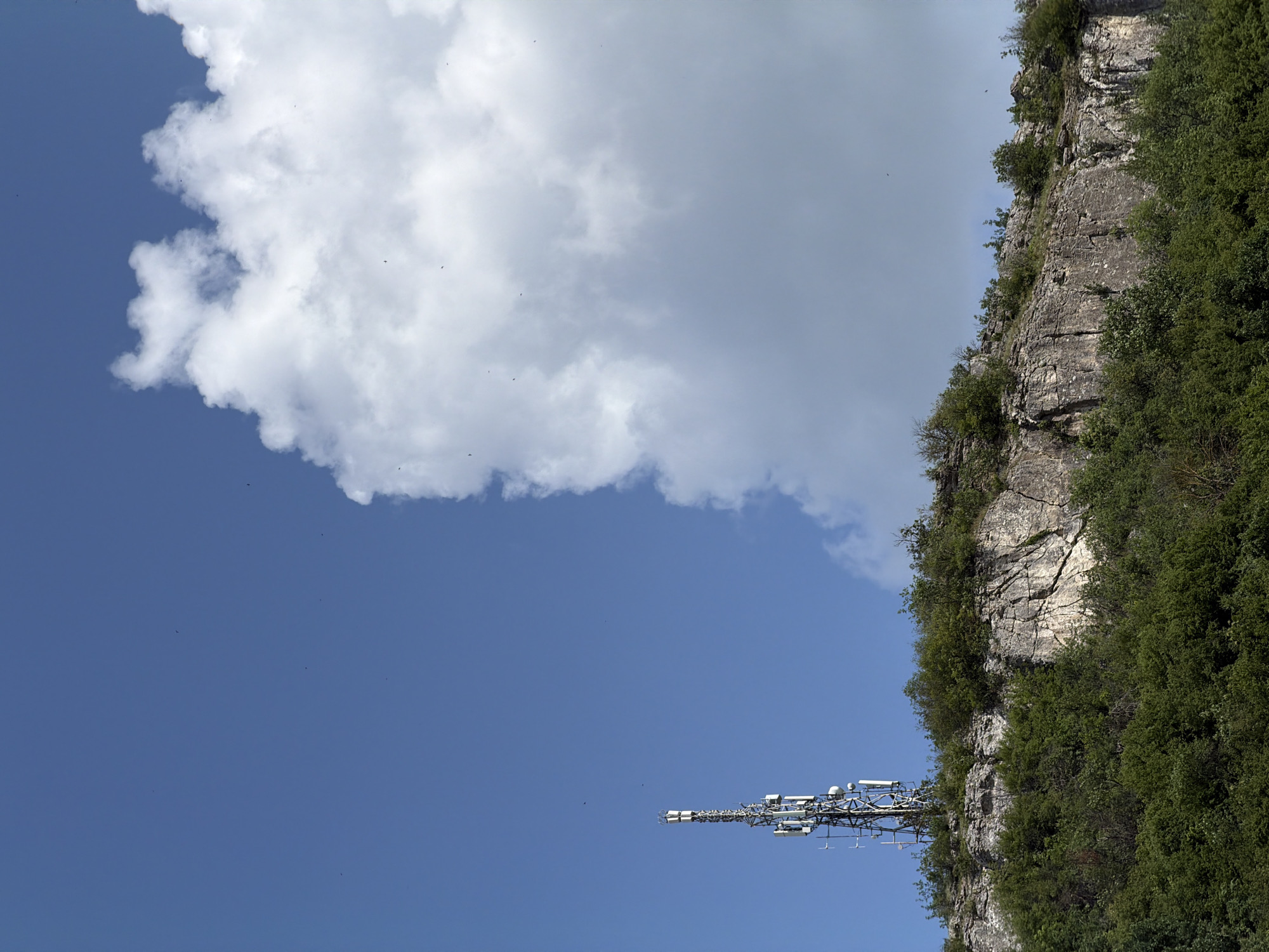 The image depicts a telecommunications tower atop a rocky, vegetated cliff face under a bright blue sky with a large, fluffy white cloud. The tower is tall and slender, constructed of metal lattice with numerous antennas and equipment attached. The cliff is striated and appears to be made of sedimentary rock, with dense green foliage growing from its ledges and at its base. Small dark specks, likely birds, are visible in the sky. The scene is likely a natural landscape with an engineered structure, possibly located on the outskirts of Lovech, Bulgaria, given the context provided.