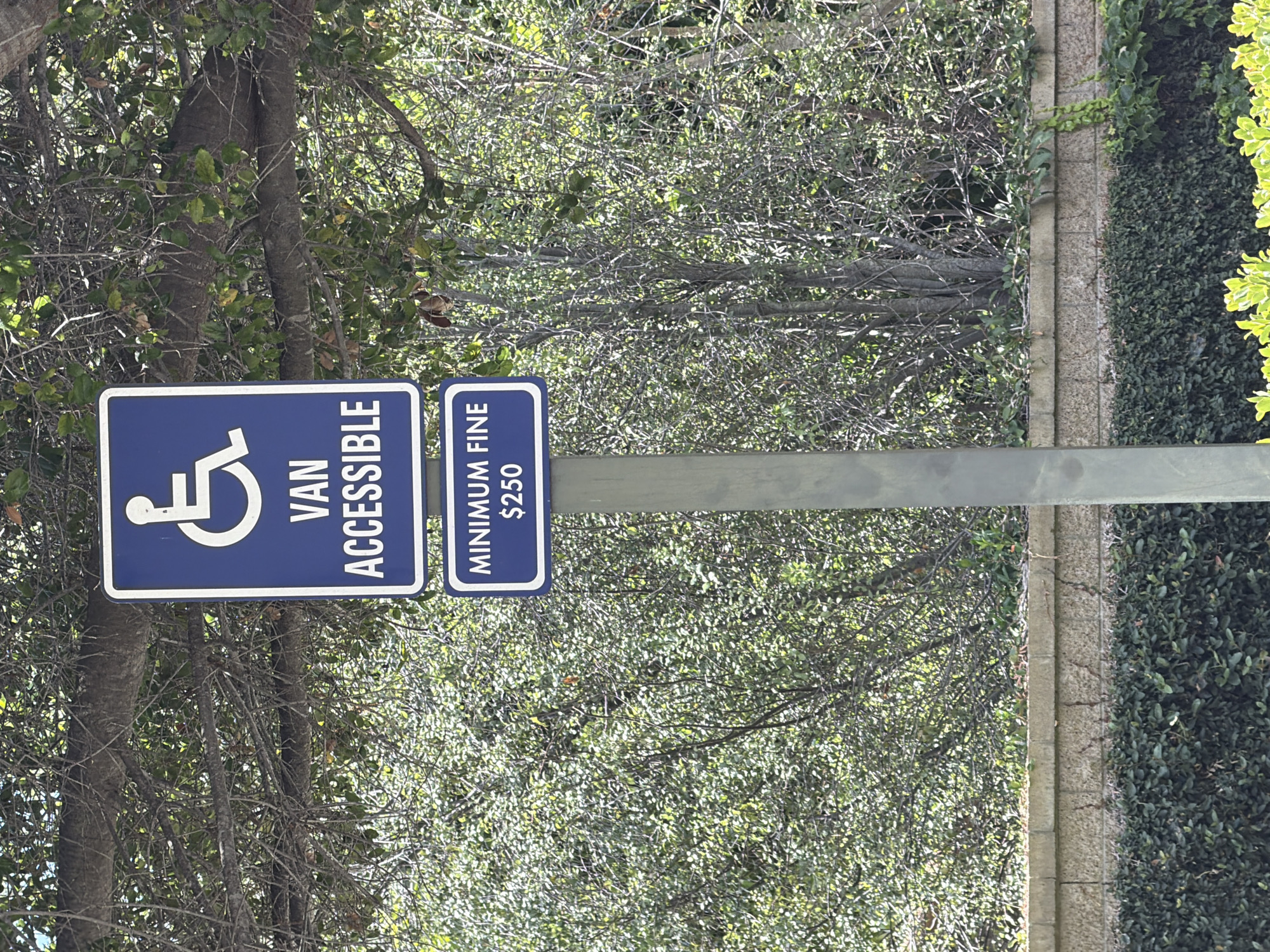 A portrait-oriented, vertical photograph displays two blue and white signs mounted on a gray metal pole, set against a backdrop of dense green foliage. The sign on the left features a white wheelchair accessibility symbol and the text "VAN ACCESSIBLE" in white capital letters. To its right, a second sign displays "MINIMUM FINE" in white capital letters, followed by "$250" in white numbers and a dollar sign. The signs are positioned in an outdoor setting, with sunlight filtering through the leaves of trees and bushes, suggesting a daytime scene. The lush vegetation, along with a hint of a paved walkway and manicured hedges to the right, indicates a public or semi-public area, possibly a park or a parking lot in Irvine, United States of America. There are no people visible in the image.