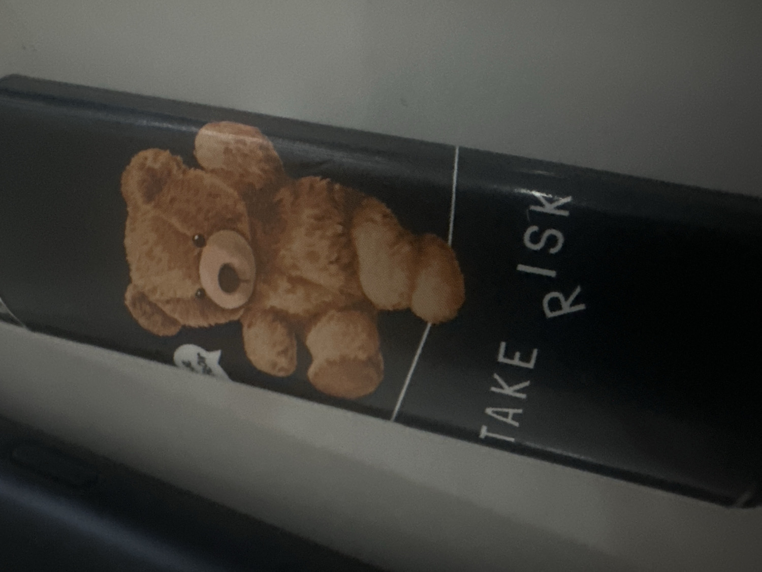 The image displays a close-up of a dark-colored, rectangular object, likely the spine of a book or notebook, oriented diagonally across the frame. The object is predominantly black or dark gray.
On the left side of the object, there is an illustration of a brown teddy bear. The teddy bear is depicted lying down, with light brown, textured fur, small dark eyes, and a lighter-colored, oval snout. A tiny, white, indistinct speech bubble is visible near the bear's head.
A thin white vertical line separates the teddy bear illustration from white, capitalized text that runs vertically along the length of the object. The text clearly reads "TAKE RISK."
The background consists of blurred, light gray and darker gray areas, suggesting an indoor setting, possibly a desk or shelf. The lighting is somewhat subdued, giving the image a slightly soft and grainy quality. No specific activity is depicted, and there are no discernible location cues to indicate Sofia, Bulgaria.