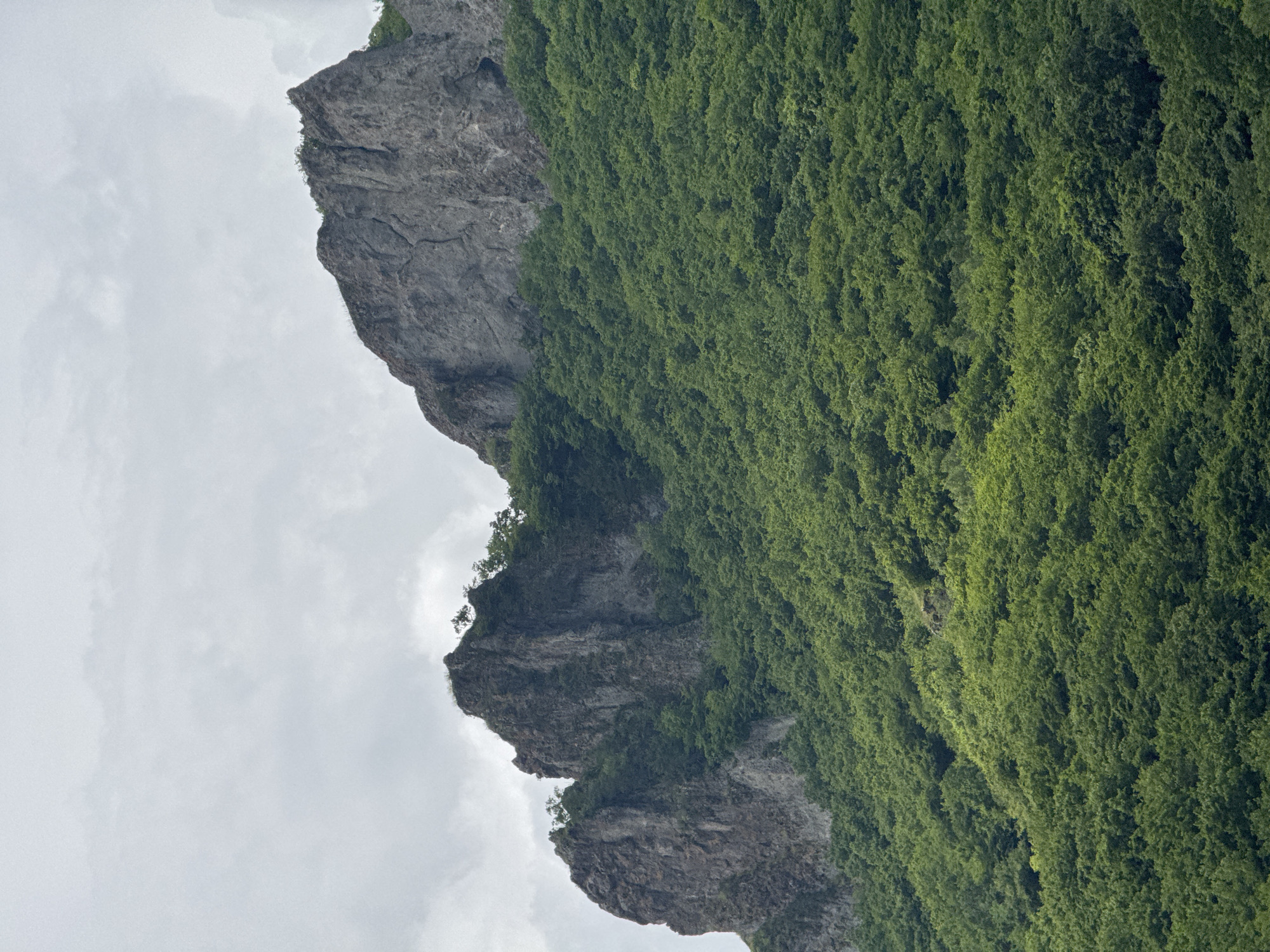 The image depicts a natural landscape with a prominent rock formation on a heavily forested mountainside under a cloudy sky. The rock face is rugged and appears to be composed of weathered stone, with visible cracks and fissures. Lush green trees and foliage cover the lower slopes of the mountain, creating a dense canopy that extends upwards towards the rocky peaks. The sky is overcast with diffused light, suggesting a cloudy or possibly overcast day. The scene is devoid of human presence or any man-made structures. The image does not contain any specific identifying features that would link it to Ordzhonikidzevsky, Russia.