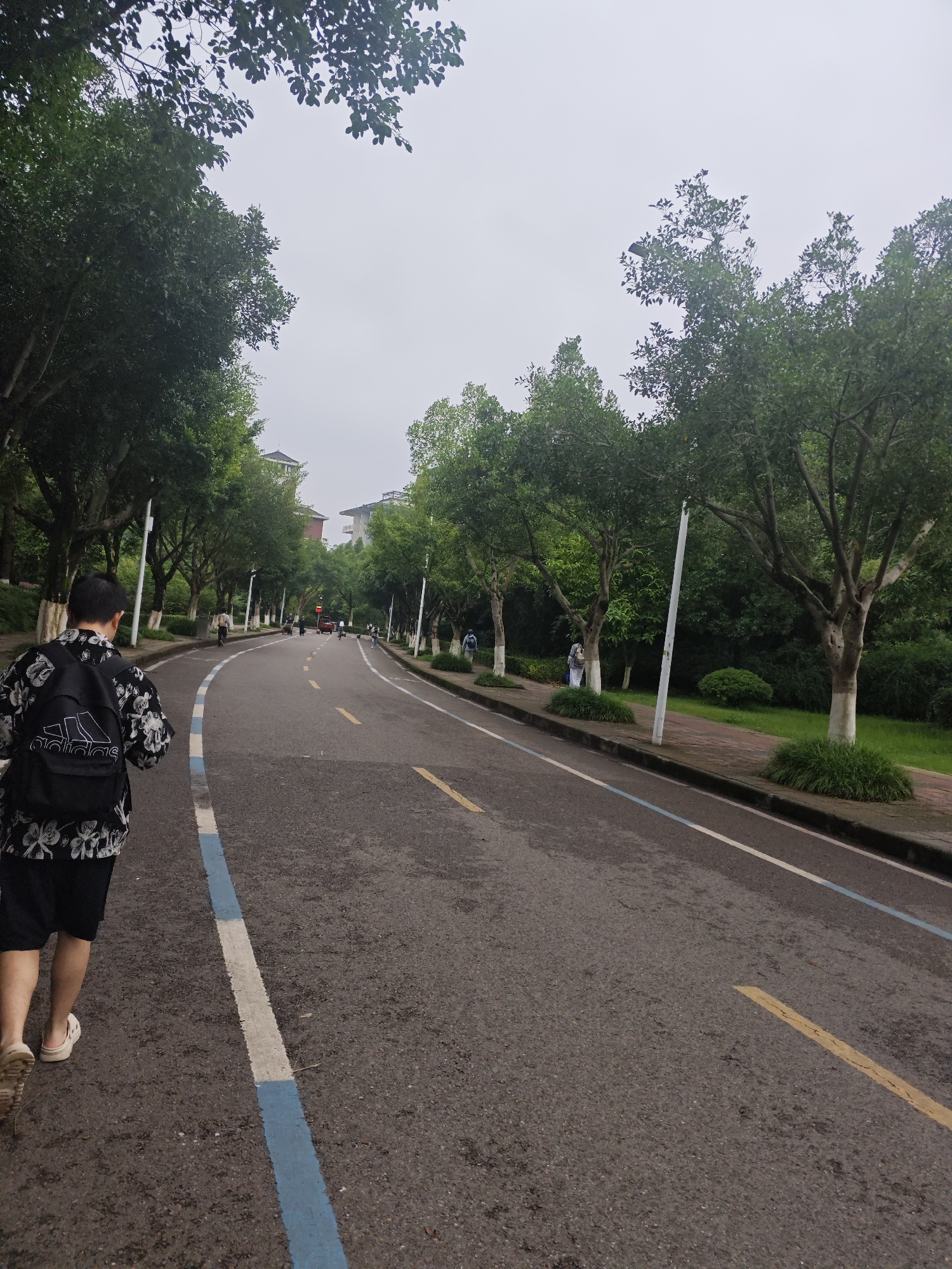 The image depicts a paved road with distinct lane markings, bordered by a sidewalk and lush green trees. In the foreground, a young person wearing a black and white floral shirt, black shorts, and a black backpack with the Adidas logo is walking away from the camera on the left side of the road. Several other individuals are visible further down the road, some walking and others appearing to be accompanied by dogs. The road curves to the right, and buildings can be seen in the background. The overall environment suggests an outdoor campus or park setting. The sky is overcast, indicating a cloudy day.