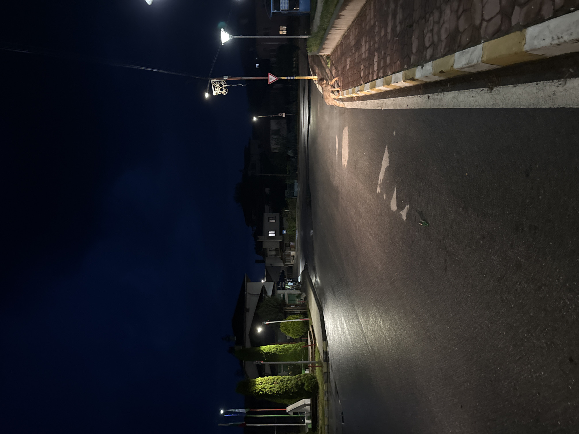 This is a low-light, full-frame, eye-level photograph captured at night on a street in Barutin, Bulgaria. The scene depicts a moderately wet asphalt road, illuminated by streetlights and lights from nearby buildings. On the left side of the road, there are several tall, conical evergreen trees, flags, and what appears to be a monument or structure. The background shows buildings with illuminated windows. On the right side of the road, a paved sidewalk with a yellow and white curb is visible. A dog is standing on the sidewalk, facing towards the road. Streetlights, traffic signs, and utility poles are present throughout the scene. The overall impression is that of a quiet, dimly lit urban or semi-urban environment at night.