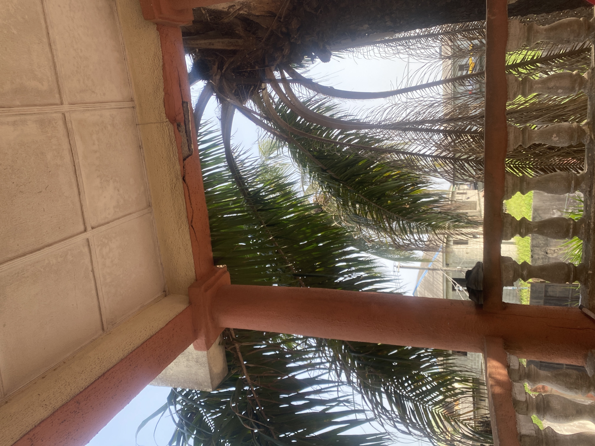 The image depicts an upward view of a building facade in what appears to be Lagos, Nigeria, with a focus on architectural elements and a nearby palm tree.
**Building:**
* **Facade:** Features light beige or cream-colored square tiles, framed by an orange border. There is evidence of weathering and some minor structural damage, specifically cracking, along the edges of the orange border.
* **Column:** A cylindrical, reddish-orange column provides support for the structure. The column shows signs of similar weathering and aging.
* **Balustrade:** A grey, ornate balustrade is visible to the right, partially obscured by foliage.
**Environment:**
* **Palm Tree:** A mature palm tree with both green and dead fronds dominates the view. The fronds partially obscure the sky and create a dynamic interplay of light and shadow.
* **Other Buildings:** Partially visible in the background are other buildings, suggesting an urban or suburban environment. The architectural style of the background buildings is not clear but they appear to be residential or commercial.
* **Sky:** The sky is visible through the palm fronds, appearing light blue or slightly overcast.
**Location:**
* The architectural style, the presence of palm trees, and the overall environmental context are consistent with Lagos, Nigeria. However, there are no definitive elements to establish the precise location within the city.