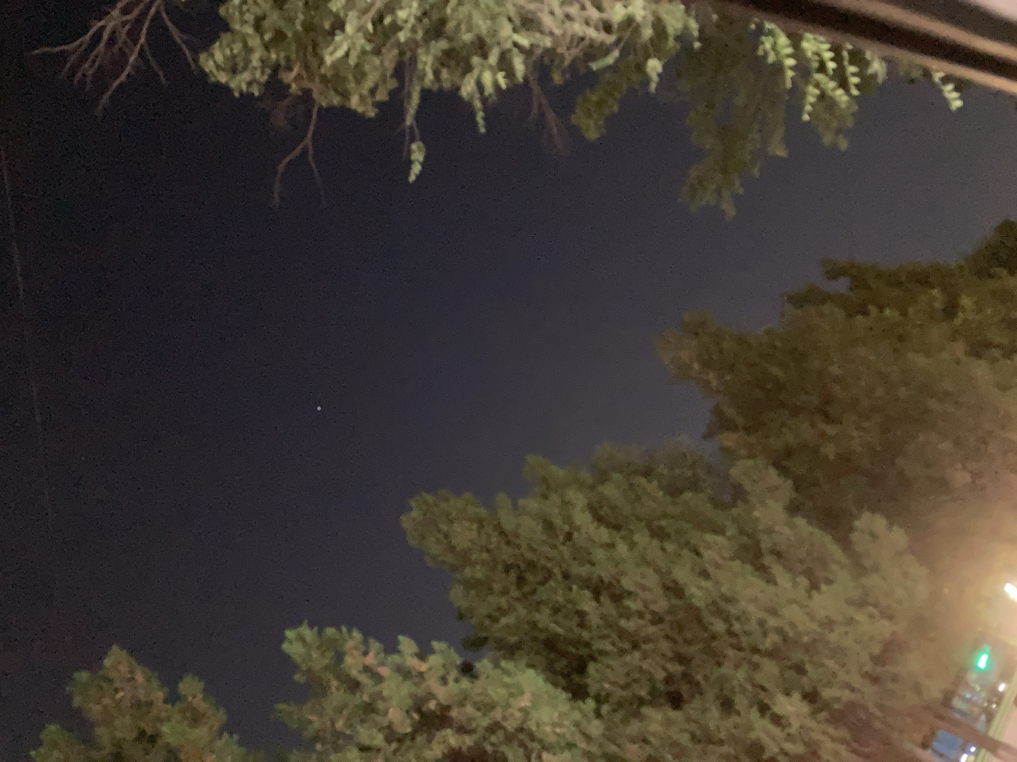 The image shows a night sky with trees in the foreground and background. The sky is dark, suggesting it is nighttime. There are a few faint lights visible in the distance, possibly from buildings or streetlights. The trees are lush and green, with some branches extending into the frame. There is a single bright star or planet visible in the upper left quadrant of the sky. The overall mood of the image is peaceful and serene. There is no visible text in the image. The location context is Shymkent, Kazakhstan.