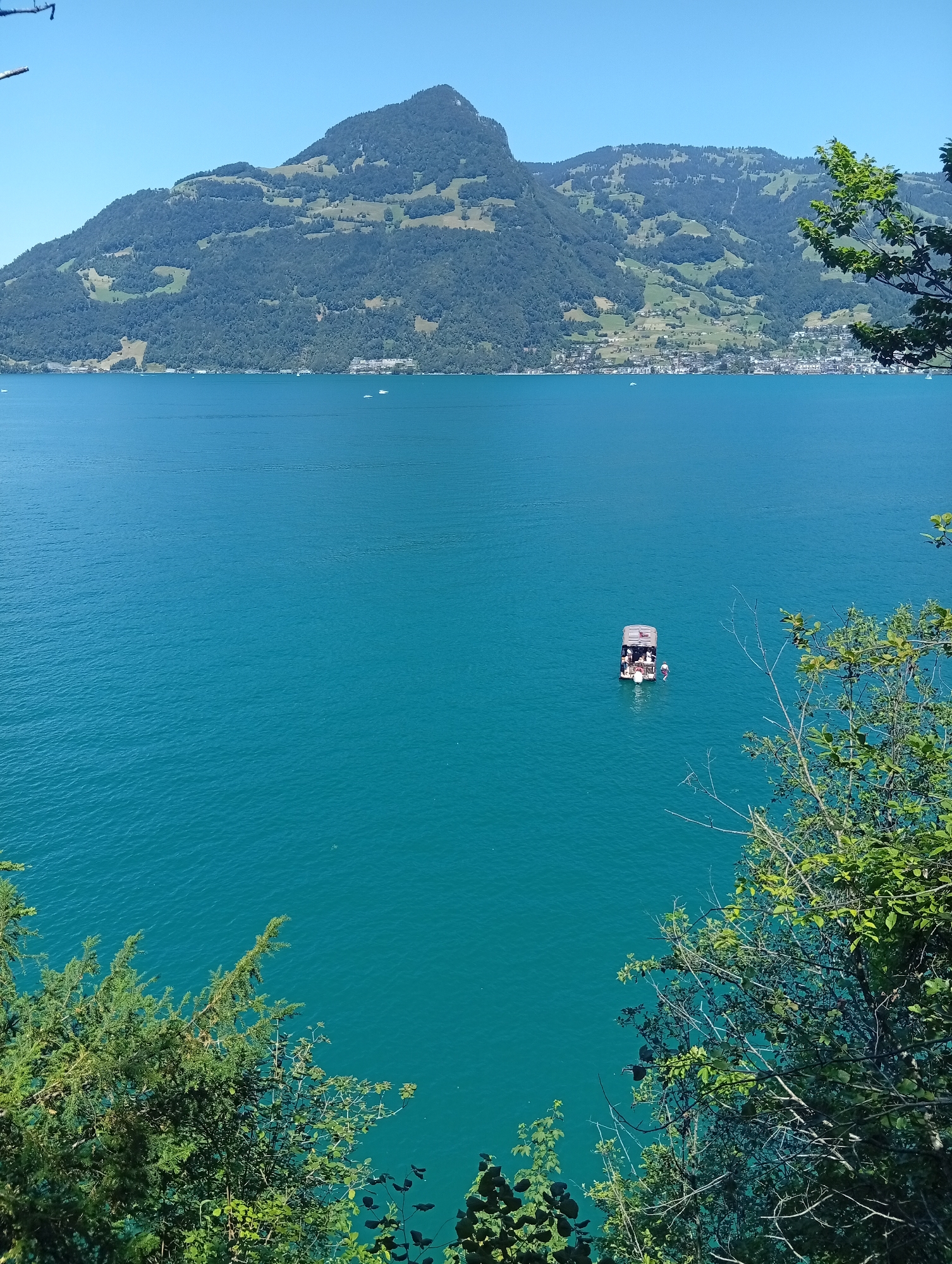 The image displays a panoramic view of Lake Lucerne on a clear, sunny day. In the foreground, lush green trees frame the bottom of the scene, with branches extending into the frame from the left and right. The lake itself is a vibrant turquoise, stretching out towards a distant mountain range. The mountains are covered in a mix of dark green forests and lighter green, terraced fields, with a few buildings visible along the lakeshore in the mid-ground.
A small, light-colored boat with a canopy is situated in the middle of the lake. Several people are visible on the boat, appearing to be enjoying a leisurely outing. One person is leaning over the side of the boat, possibly looking at the water or preparing to jump in. The water around the boat shows small ripples, indicating calm conditions. The sky above is a clear, bright blue.
The scene is likely located near Emmetten, Switzerland, as indicated by the characteristic mountainous landscape surrounding Lake Lucerne and the presence of boats on the water. The overall impression is one of tranquility and natural beauty.