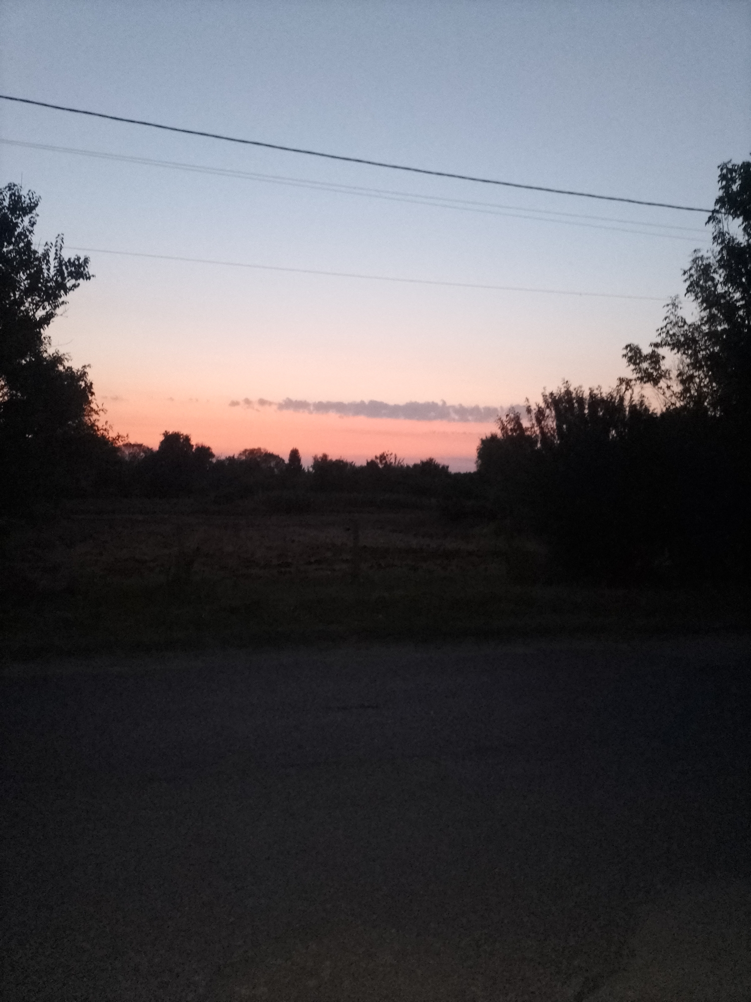 A rural scene unfolds under a dusky sky, transitioning from a pale blue overhead to hues of pink and orange near the horizon. Silhouetted trees frame the left and right sides of the image, their dark forms contrasting with the softened colors of the sunset. In the middle ground, a field of vegetation is visible, appearing dark and indistinct due to the low light. A paved road occupies the foreground, its surface dark and featureless. Overhead, two thin power lines stretch horizontally across the frame, adding a man-made element to the natural landscape. The overall impression is one of tranquility and the fading light of day in a rural setting, likely near the village of Ustyvytsia, Ukraine.