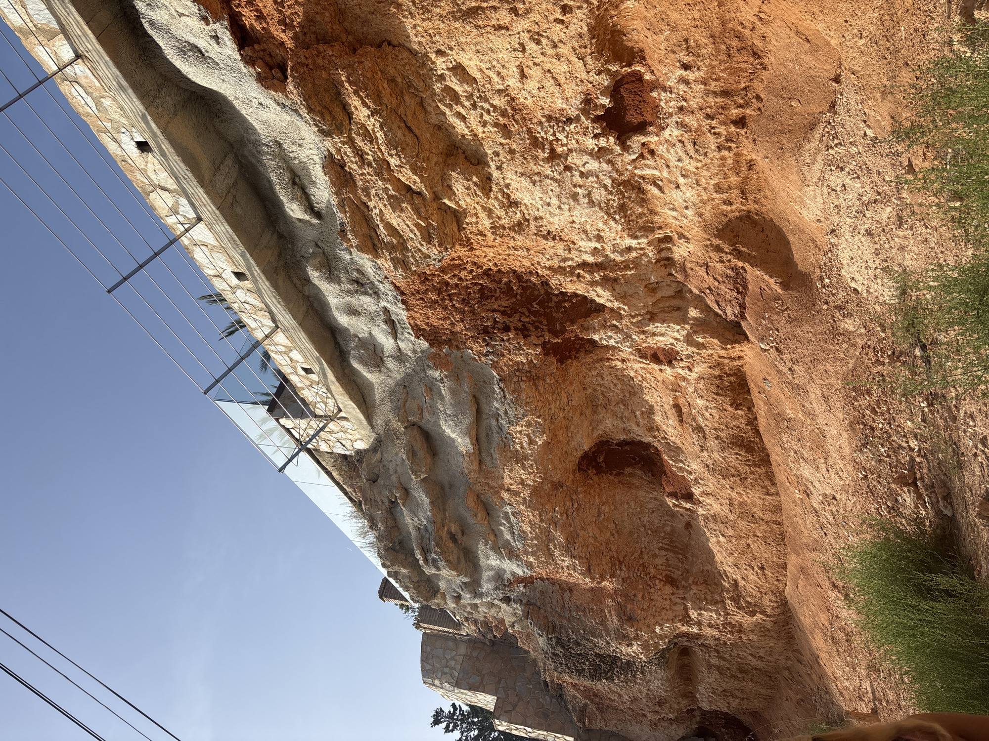 The image captures a cliff face in Urbanización Cabo Roig, Spain. The cliff is composed of layered sedimentary rock, primarily in shades of orange and reddish-brown, with some lighter sandy deposits and darker, almost black, soil patches. Erosion has created various textures, including rough, porous surfaces and some small cavities.
At the top of the cliff, there is a man-made structure consisting of a concrete retaining wall topped with a stone facade. A modern railing system with glass panels and metal posts runs along the edge of this structure, suggesting it is part of a pathway or viewing area. Electrical wires are visible in the upper left corner of the image, stretching across the clear blue sky.
The base of the cliff transitions into a sloped ground covered with loose rocks and sand, with patches of green scrubby vegetation growing sparsely. To the left side of the cliff face, a curved retaining wall made of stone is visible, with stairs leading up alongside it. A dark-colored tree is also partially visible behind this wall. The lighting suggests it is daytime, with the sun casting shadows and highlighting the textures of the rock. No people are clearly visible in the frame.
