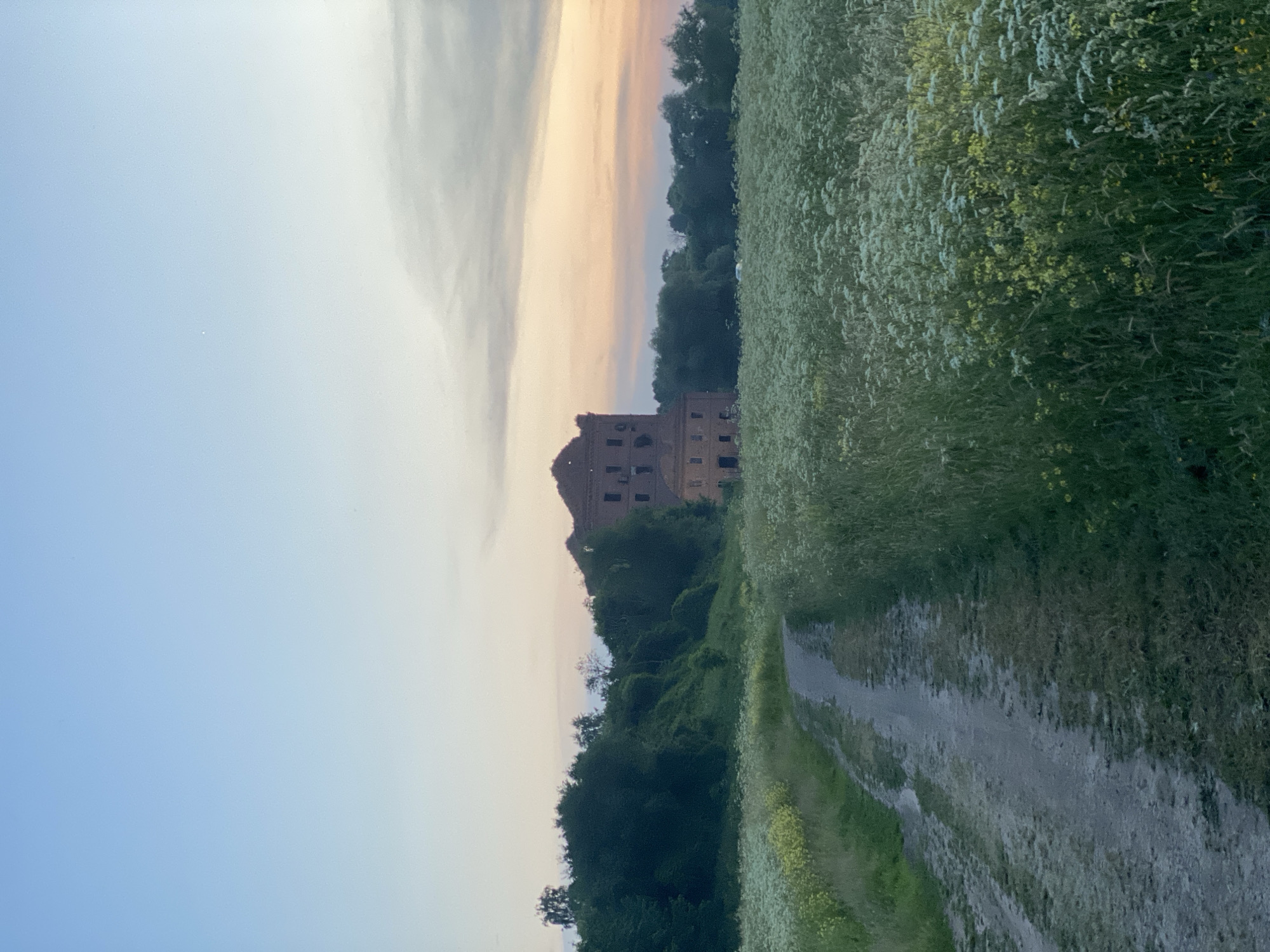 The image depicts a rural landscape at dusk. A dirt road winds through a field of white wildflowers. In the background, a large, dilapidated brick building, possibly an old mill or factory, stands amidst lush green trees. The sky above transitions from a pale blue to soft hues of pink and orange, indicating the setting sun. The scene appears serene and uninhabited, capturing a moment of natural beauty and architectural decay in a rural setting. The location of Yuryatino, Russia, is not explicitly visible in the image but is provided as contextual information.