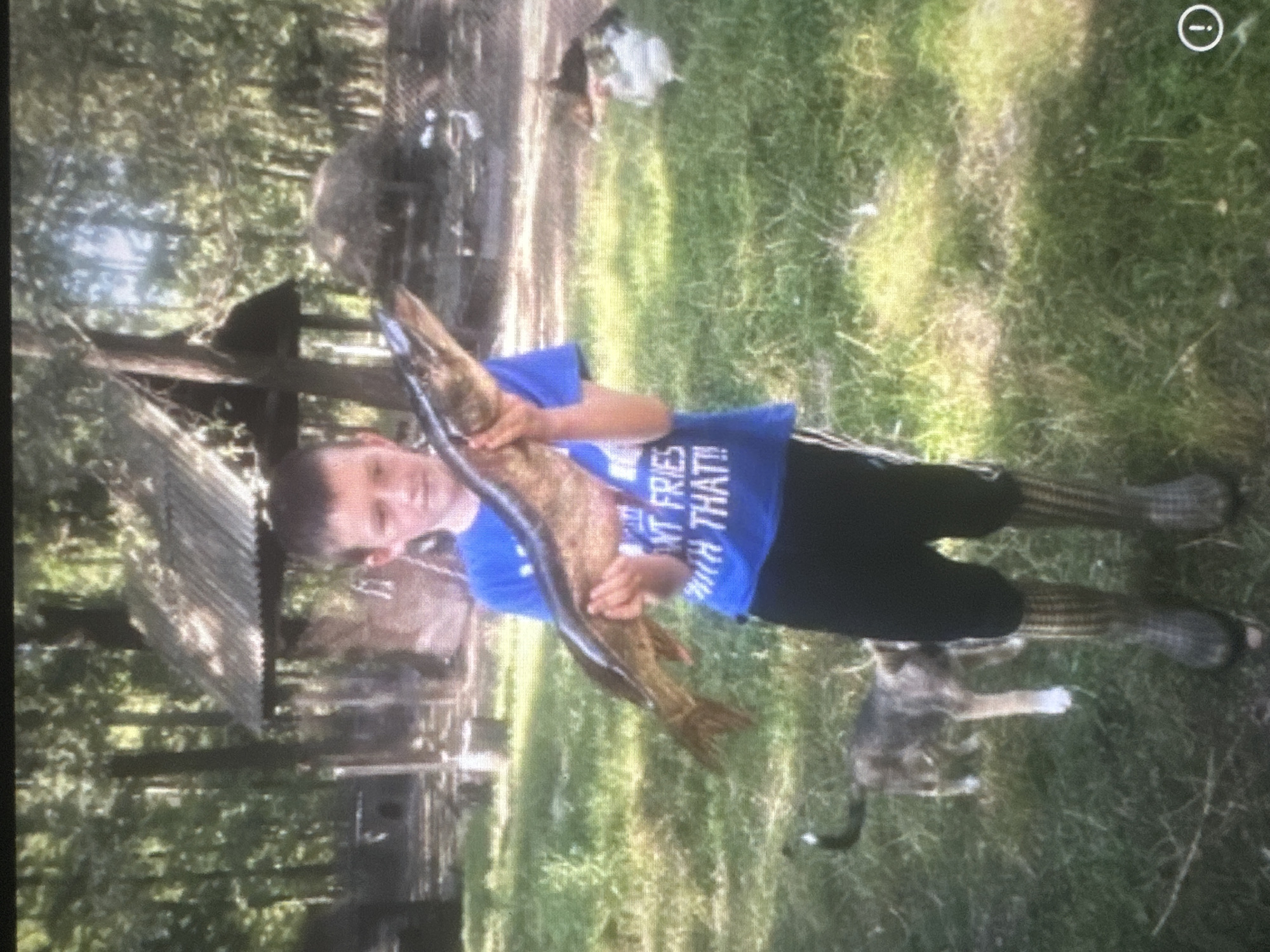 A young boy, wearing a blue t-shirt that reads "ENT FRIES WITH THAT!!", black shorts, and tall brown boots, stands in a grassy outdoor area, holding a large fish. He is positioned in the center of the frame, looking towards the camera with a neutral expression. Behind him, a tabby cat walks away from the camera towards the left. In the background, there is a wooden structure with a corrugated metal roof, trees, and other structures that are out of focus. Several birds, including chickens, are visible in the distance. The lighting suggests it is daytime, with sunlight dappling through the trees. The overall environment appears to be rural or semi-rural.