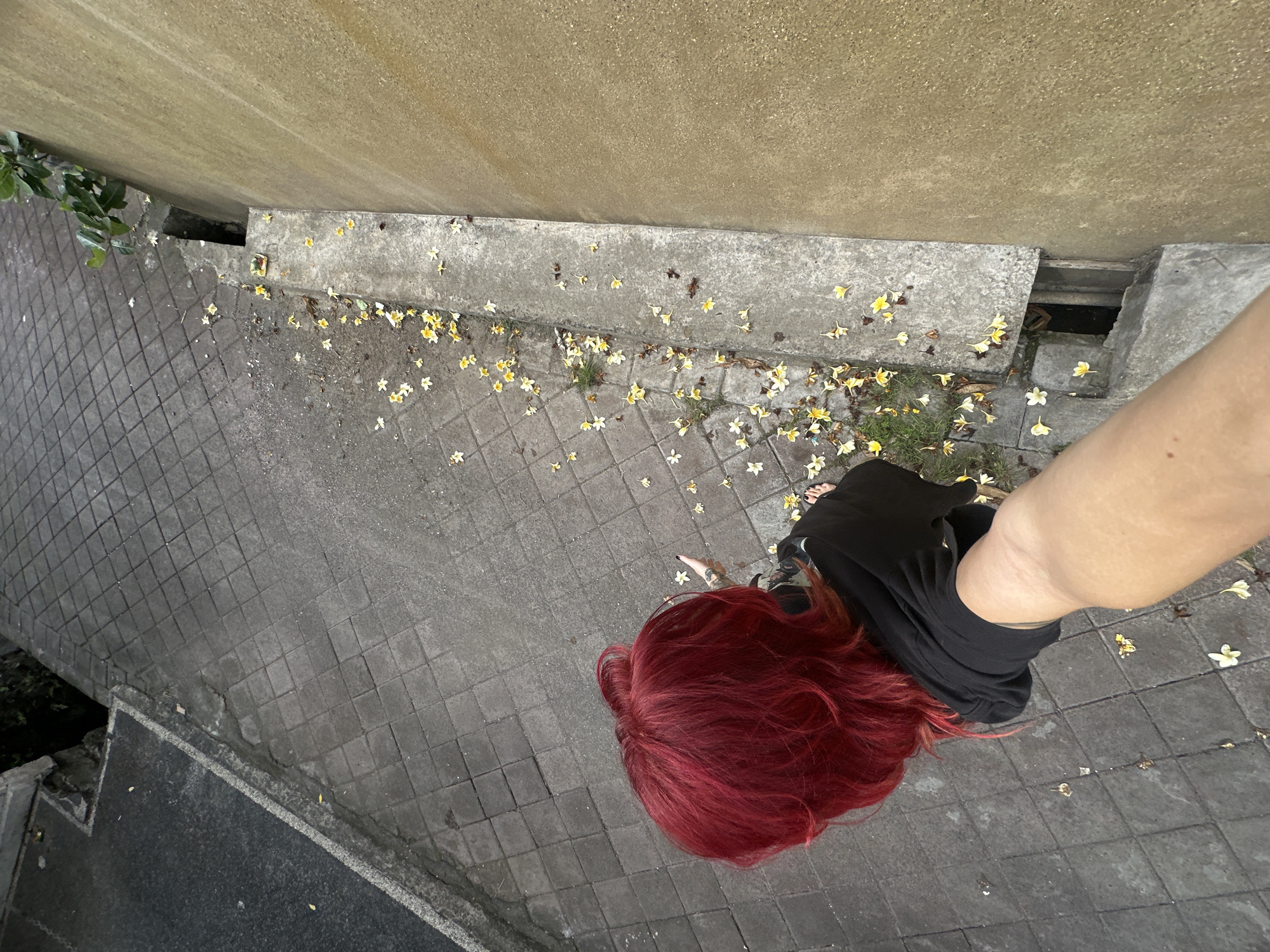 In North Kuta, Indonesia, a person with bright red hair is viewed from a high angle, looking down. They are wearing a black hoodie and are positioned on a tiled pathway. Scattered across the pathway and a concrete ledge are numerous small yellow and white flowers. To the right of the pathway is a rough, beige-colored wall. A narrow, dark opening is visible in the concrete ledge, suggesting a drain or a small trench. The person's arm extends towards the camera, partially obscuring the foreground.