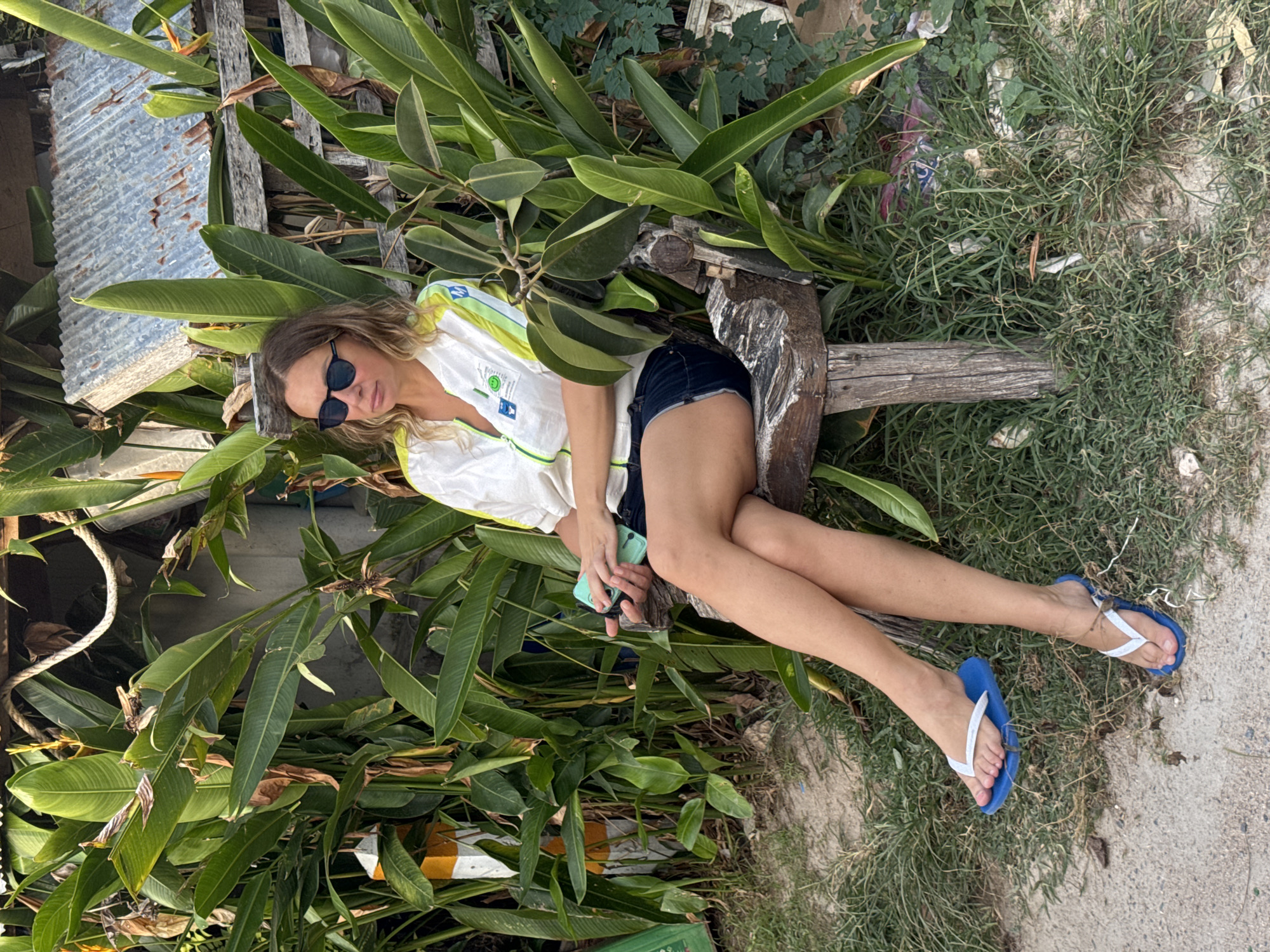 A medium shot captures a Caucasian woman sitting on a rustic wooden bench, outdoors, in what appears to be a residential or rural setting in Ban Tai Subdistrict, Thailand. She is wearing dark denim shorts, a white zip-up jacket with green and yellow trim, and blue flip-flops. Sunglasses shield her eyes. Her legs are crossed, and she holds a light blue mobile phone in her right hand.
The bench is weathered and appears to be constructed from rough-hewn wood. Behind the woman, a dense wall of large green tropical leaves, possibly from a bird of paradise plant or similar foliage, dominates the background. To the right of the foliage, a corrugated metal roof supported by wooden planks is visible, suggesting a simple structure. A coiled rope hangs from the upper left of the frame, near the foliage. The ground in front of the bench is a mixture of sand and sparse, dry grass. The overall lighting suggests it is daytime, possibly late afternoon due to the warm tone of the light. The scene conveys a casual, relaxed atmosphere.