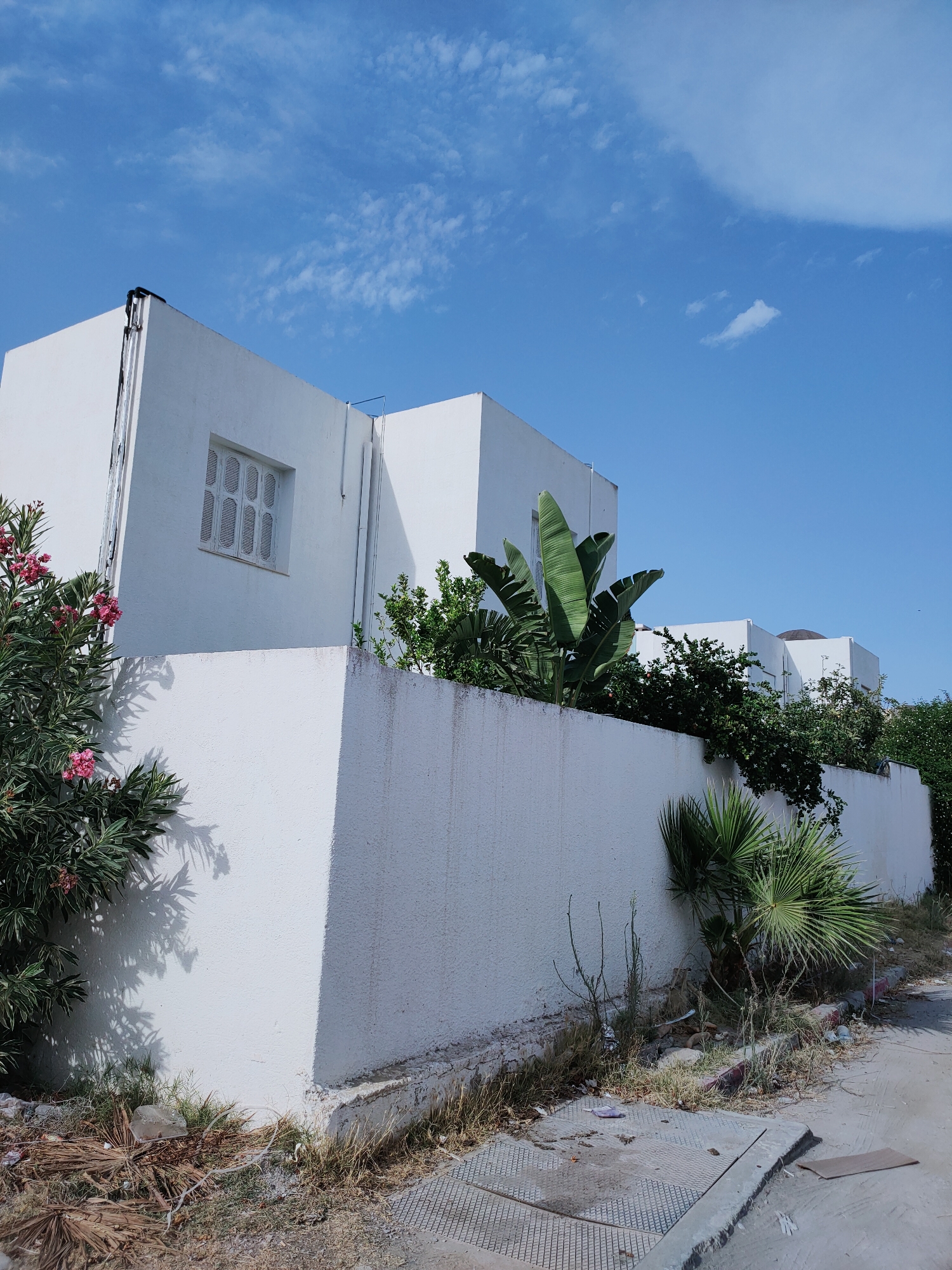 The image depicts a row of modern, white, cube-shaped buildings with flat roofs, situated in Mrezga, Tunisia. The architecture is minimalist, with prominent white walls and minimal ornamentation. One building features a window with a distinctive lattice-like pattern. The structures are partially obscured by lush green vegetation, including large-leafed tropical plants and flowering bushes with pink blooms, suggesting a warm climate. A low, textured white wall runs in front of the buildings, separating them from a pathway and a patch of overgrown, dry grass and debris. The pathway appears to be concrete, with a metal grate and some scattered litter. The sky above is a bright blue, dotted with scattered white clouds, indicative of fair weather. The scene conveys a sense of suburban or resort-like living, though the presence of some unkempt vegetation and debris suggests a possible lack of recent maintenance. There are no people visible in the image.