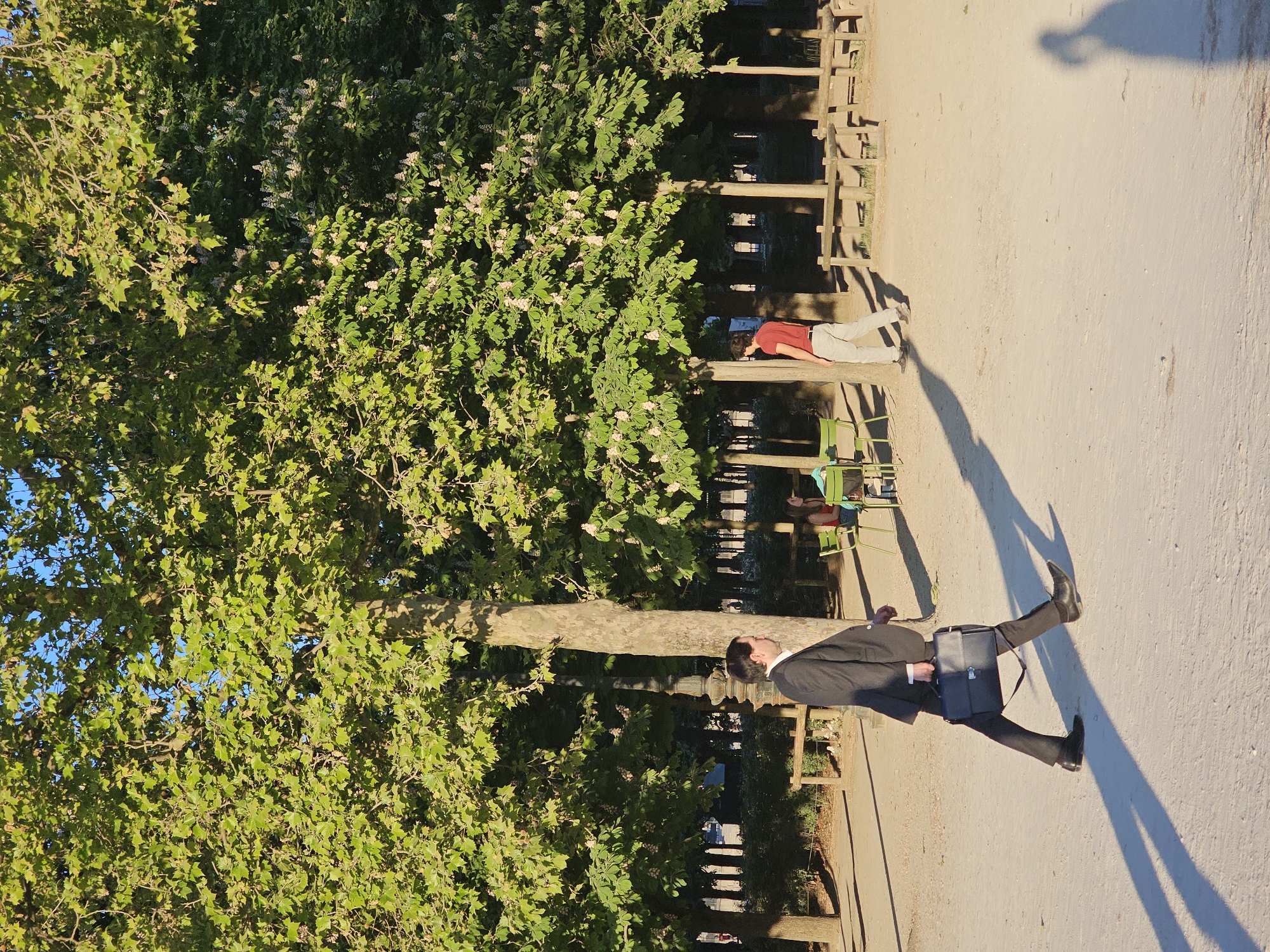 The image, correctly oriented, depicts a sunlit outdoor scene, likely a park in Paris, during what appears to be the golden hour given the long, distinct shadows.
In the foreground, a man dressed in a dark suit, white shirt, and black shoes is captured mid-stride, walking from right to left across a light-colored, possibly gravel or dirt, path. He carries a black briefcase in his left hand. His elongated shadow stretches out behind and to his left on the path.
Further into the scene, towards the left and mid-ground, another individual is seated on a green park chair. This person wears a red t-shirt and light-colored pants, appearing relaxed or resting. They are positioned near a wooden fence or barrier.
The left side and background of the image are dominated by dense, lush green foliage from several large trees. Some trees have light green leaves, while others display clusters of small white flowers, suggesting springtime or early summer. A large tree trunk is visible in the middle ground, separating the walking man from the seated person. Glimpses of a clear blue sky can be seen through the tree canopy. The overall impression is a peaceful, sunny day in a well-maintained urban park.
No visible text is present in the media file.