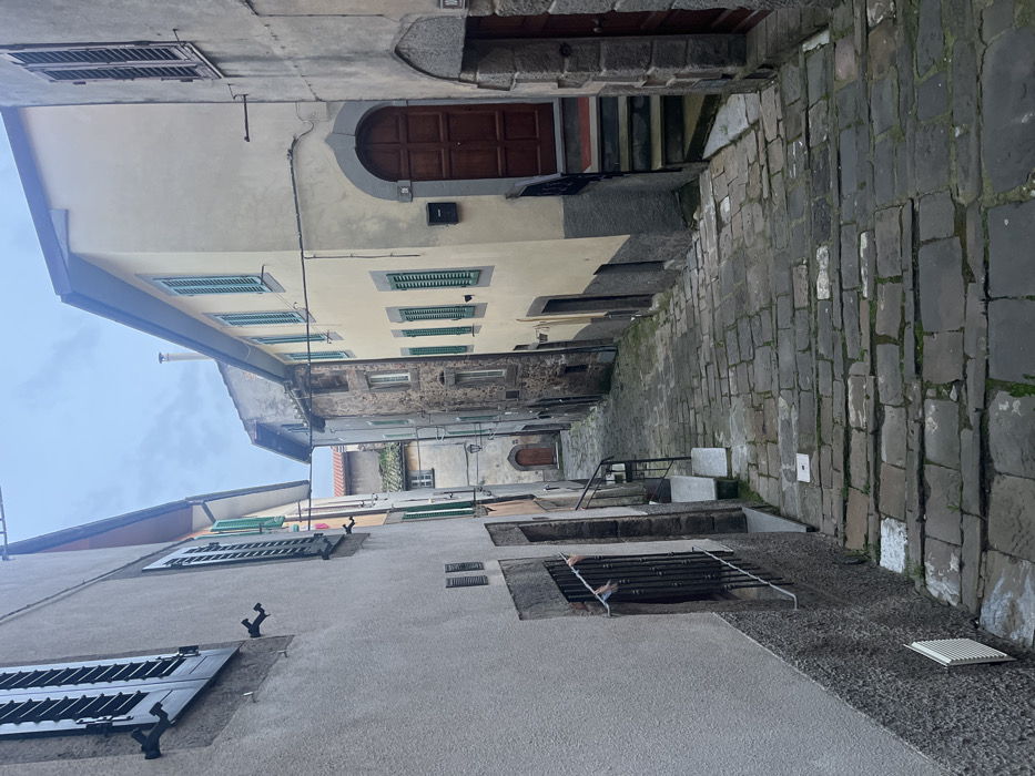 The image depicts a narrow, ascending cobblestone alley in Castel del Piano, Italy, devoid of human presence or activity. The street is composed of irregular grey stone pavers, forming a series of shallow steps that rise towards the background, with sparse moss and dirt visible in the crevices.
On the left, a multi-story building features a light grey stucco facade above a dark grey stone base. It has at least two windows with closed black louvered shutters. A lower window is fitted with black metal security bars, from which a small string of multi-colored flags is strung. A white rectangular vent is mounted on the lower part of the wall.
On the right, a multi-story building presents a pale yellow stucco upper section with a dark grey stone base. Its entrance, visible in the foreground, is an arched dark brown wooden door with a decorative grey stone frame, accessed by three visible grey stone steps with a black metal handrail on the left side of the steps. A black mailbox is affixed to the wall beside the door. Higher on this building, multiple windows with closed green louvered shutters are present.
Further up the alley, additional buildings with varying facades of light yellow, grey stucco, and exposed stone are visible, some featuring green or brown shutters and another distinct dark brown arched wooden door at the far end of the visible street. Overhead, wires span between buildings. The sky is overcast and light grey.