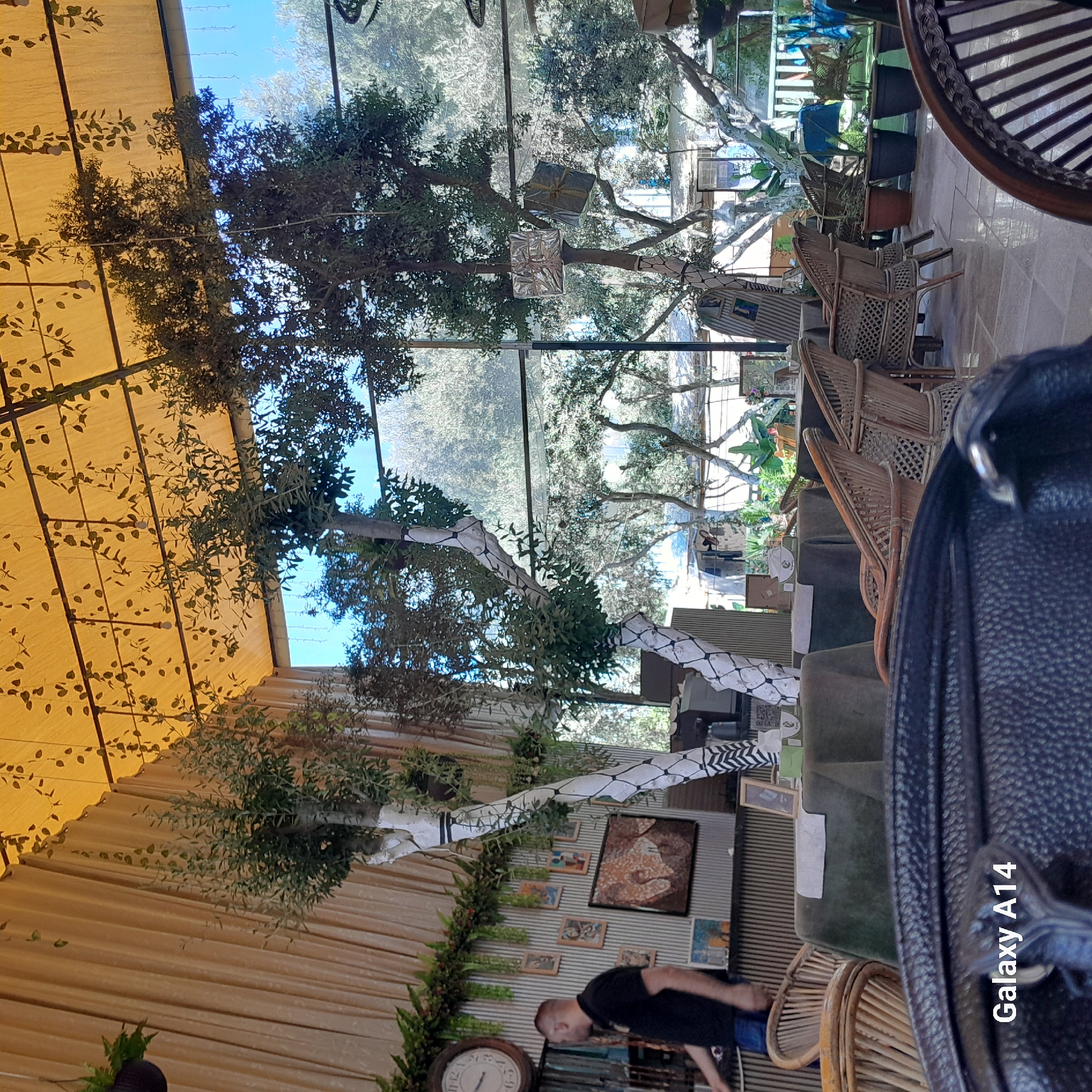 The image depicts the interior of a restaurant or cafe with a focus on decorative elements and seating. The scene is well-lit, likely by natural light filtering through large windows or a glass roof, and artificial lighting from within. In the foreground, a dark, textured bag is prominently displayed with the text "Galaxy A14" superimposed.
The restaurant features an abundance of artificial trees, some with white-painted trunks decorated with black patterns. These trees are placed throughout the space, contributing to a botanical theme. Hanging from the ceiling or from the structures supporting the roof are decorative vines with leaves, and some small light bulbs. A large clock with Roman numerals is visible on the wall in the background, to the left.
Several tables are covered with dark green tablecloths, and wicker chairs are arranged around them. Some of these chairs are empty, while others appear to be occupied by patrons, though they are not clearly visible. In the background, through the large windows, an outdoor area with more trees and vegetation is visible, suggesting the restaurant is situated in a location with natural surroundings. There are also some framed pictures on the walls. Two wrapped gift boxes are suspended from one of the artificial trees.
The presence of potted plants and the overall airy, naturalistic decor suggests a pleasant and inviting atmosphere. The location is identified as the city of Deir el-Balah, Palestinian Territories.