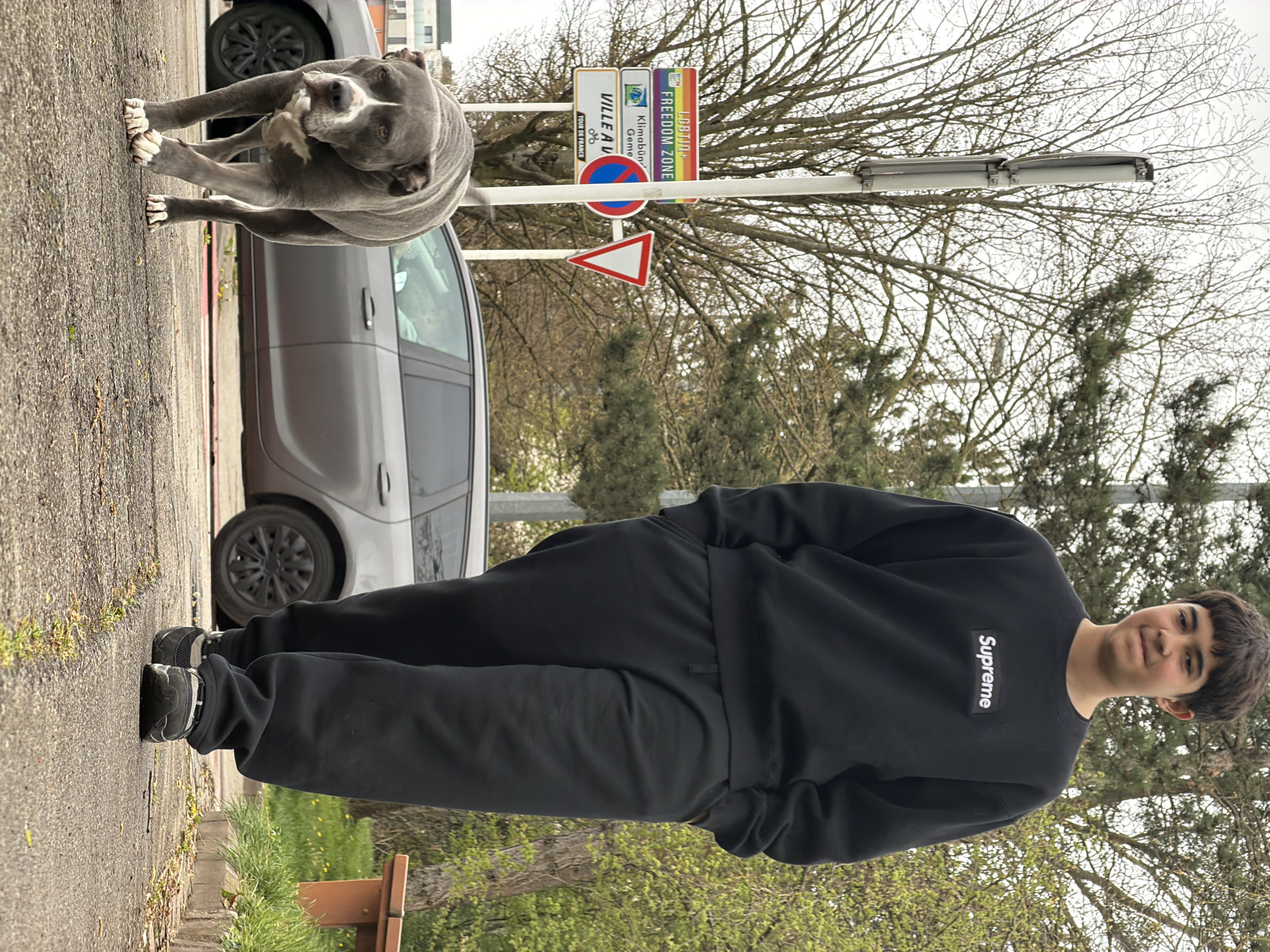 A photograph captures a young man in black attire standing on a sidewalk next to a gray car. To his left, a large gray dog is positioned in front of the vehicle. In the background, street signs indicate "VILLE A" and "FREEDOM ZONE LGBTQI+" amidst bare trees. The photograph was taken in Esch-sur-Alzette, Luxembourg.