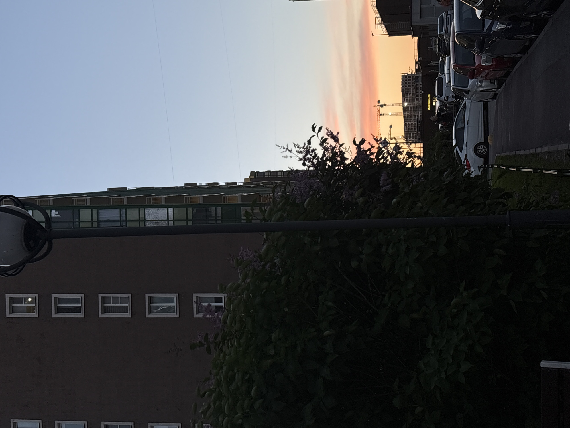 In the city of Unknown, Russia, a dusk scene unfolds with a residential building on the left and a street lined with parked cars on the right. The building, appearing to be an apartment complex, has a dark brown facade punctuated by rows of windows. Some windows show interior lights, while others are dark or reflect the sky. A large, dark green bush with hints of purple flowers is in the foreground, partially obscuring the lower floors of the building. A tall lamppost stands vertically on the right side of the building.
The sky is a gradient of pale blue at the top, transitioning to soft pink and orange hues near the horizon, indicating sunset. Silhouetted against the colorful sky are construction cranes and unfinished buildings in the distance, suggesting ongoing development in the area. The street in the foreground is paved, with a black metal fence running along the sidewalk. Several cars are parked along the curb, including a white sedan, a red sedan, a dark blue sedan, and a black SUV. The lighting suggests the time is late evening, with the sun having set or about to set. No people are clearly visible or engaged in any distinct actions within the frame.