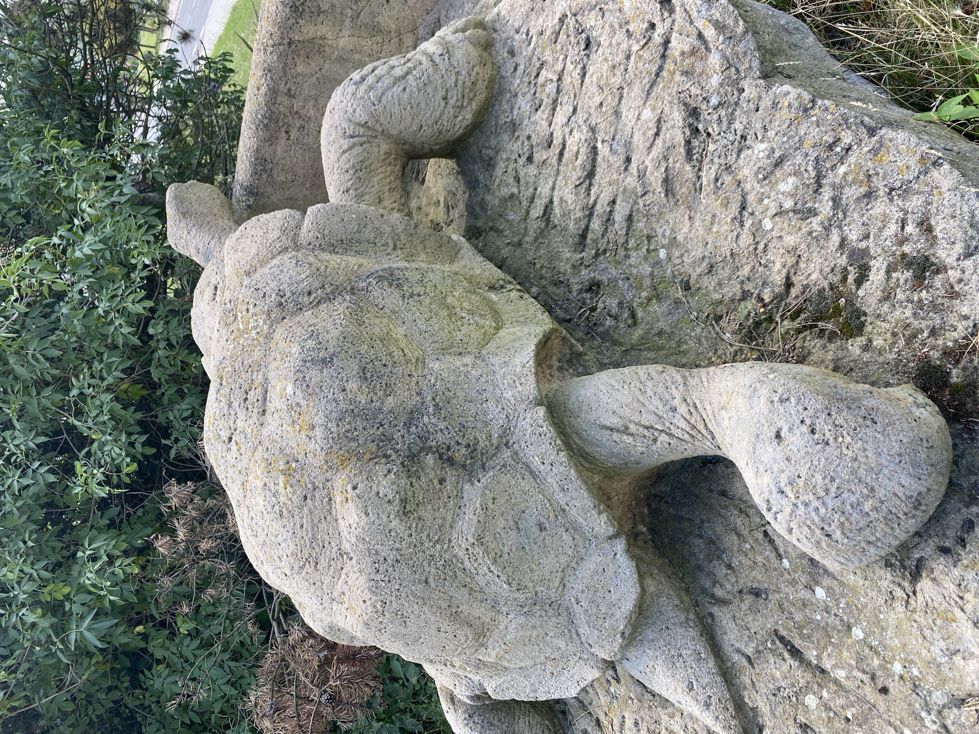 A close-up, eye-level outdoor shot captures a weathered, large stone sculpture of a tortoise situated on a rock formation. The tortoise sculpture is rendered in a rough, textured gray stone, with visible moss and lichen growth on its shell and limbs. Its head is slightly raised and turned to the right, and its four limbs are extended outwards, resting on the stone base. The background features lush green foliage and a hint of a road and grassy verge in the upper right corner. The scene appears to be part of an outdoor display or public space. This sculpture is located in the city of Bílina, Czechia, specifically in the vicinity of the Bílina opencast coal mine area, where several such sculptures can be found.
