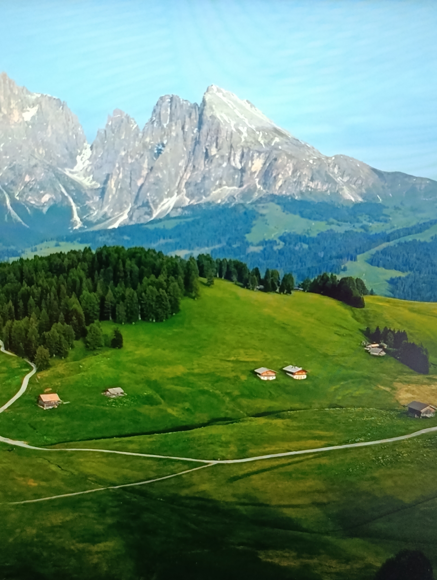This image depicts a vast, verdant landscape under a clear, pale blue sky. In the background, a dramatic mountain range dominates the horizon, its peaks rugged and partially covered in snow. The midground features rolling green hills dotted with clusters of dark green trees. A winding dirt path is visible, snaking its way across the grassy slopes. Several small, rustic buildings with red or brown roofs are scattered across the hillsides, suggesting a rural, possibly mountainous, settlement. The foreground is also covered in lush green grass, with another section of the dirt path visible. There are no people present in the image. The overall impression is one of natural beauty and tranquility. The location described in the prompt, Dubăsari town council, Moldova, is not visually identifiable within this image, as the scene clearly portrays a mountainous, alpine-like environment rather than the typical landscape associated with Moldova.