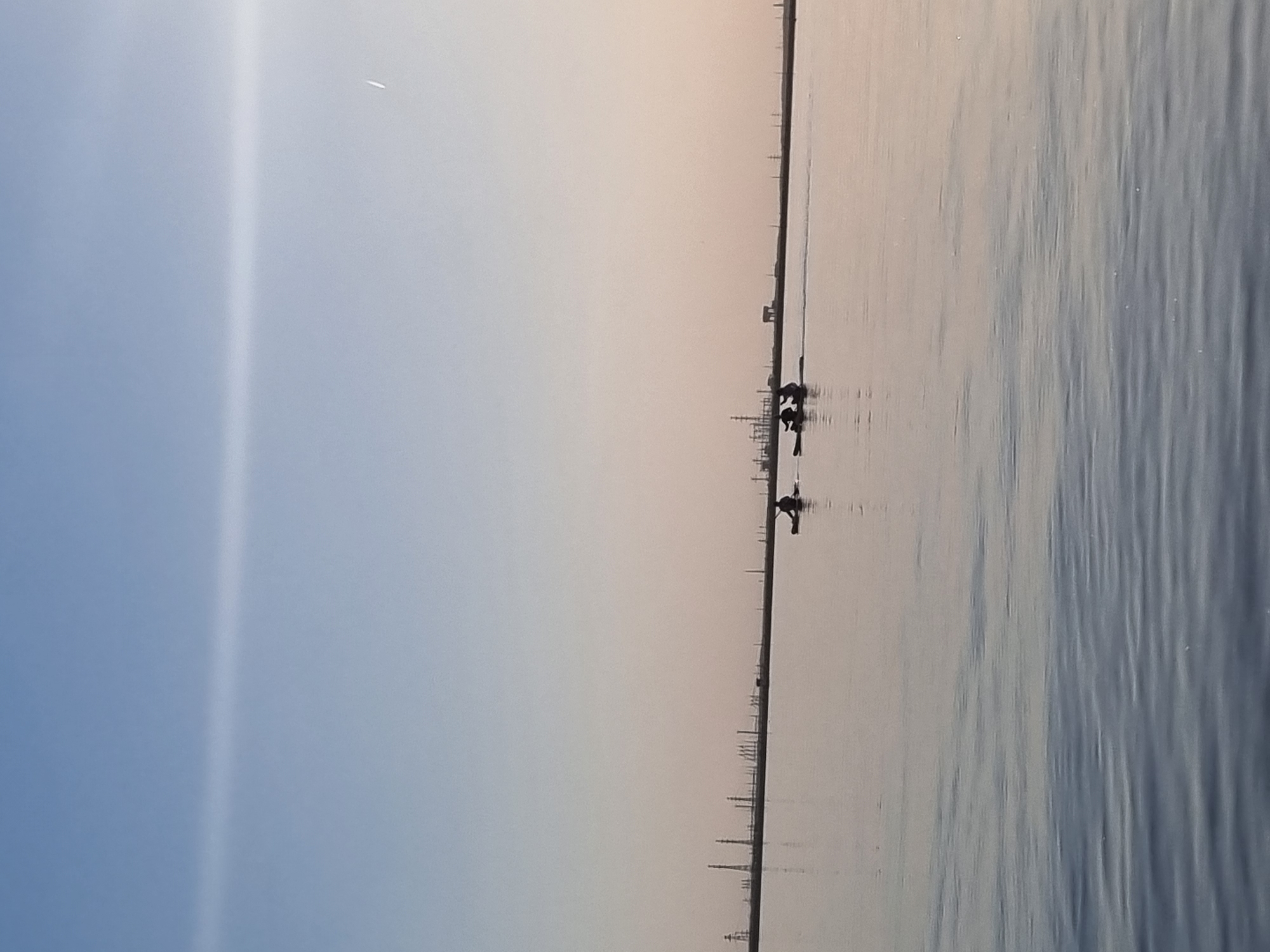 The image depicts a body of water, likely a bay or wide river, under a light-colored sky transitioning from blue to a faint orange near the horizon. A shoreline with industrial structures (towers, buildings, and possibly smokestacks) is visible in the center of the frame. In the water, there are two distinct groups of dark, silhouetted figures, possibly wading or involved in some activity near the shoreline. The water surface has a rippled texture, suggesting slight movement or wind. The location is Chaikovsky, Russia.