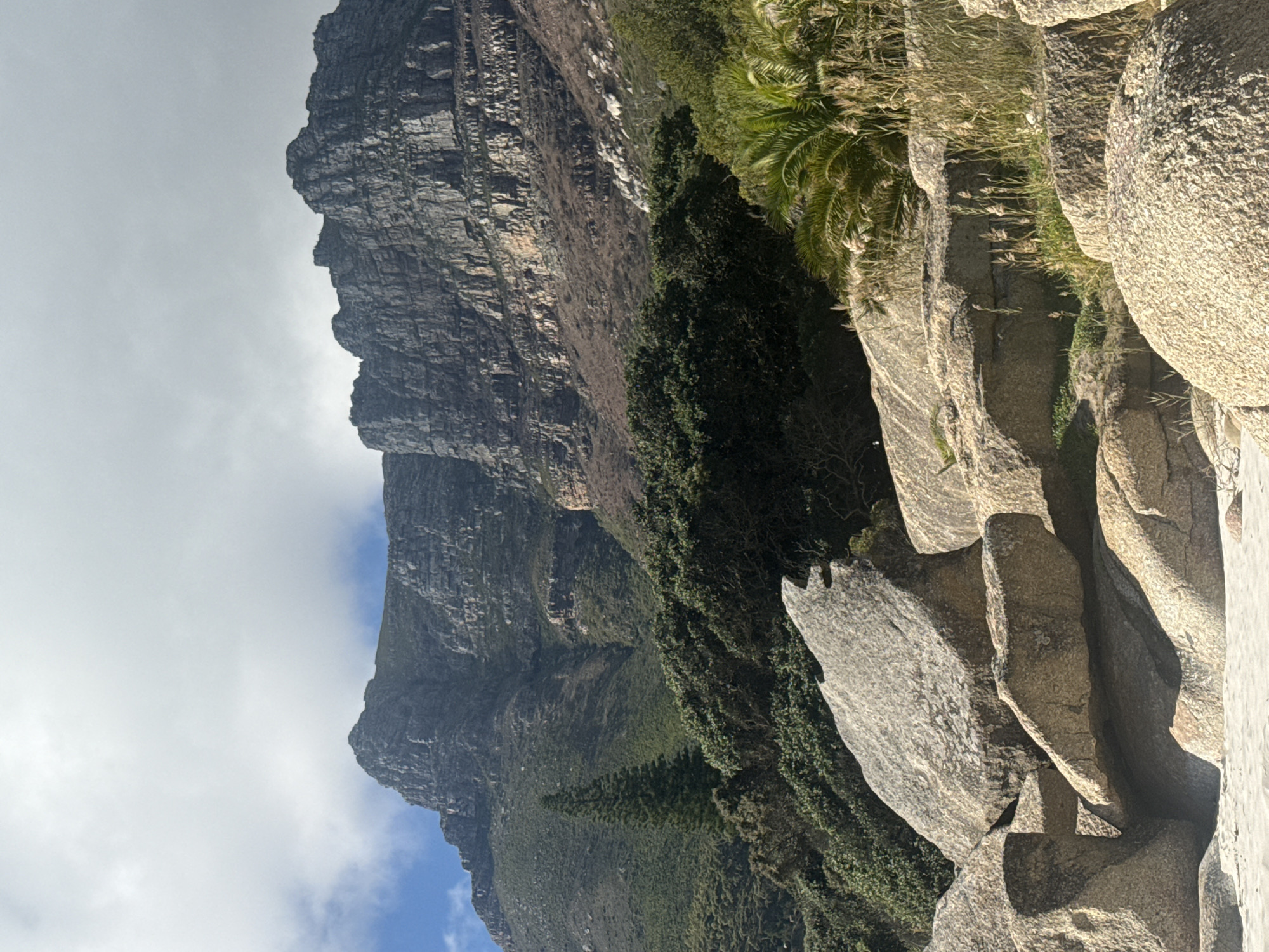 The image presents a majestic natural landscape, likely near Hout Bay, South Africa. A massive, rugged mountain dominates the left side of the frame, featuring steep, dark grey rock faces with distinct horizontal layering. Patches of green vegetation, including lush trees and shrubs, cling to the mountain slopes and fill the mid-ground, with some palm-like foliage visible on the right.
In the foreground, on the right side, a collection of large, light-colored boulders with coarse, textured surfaces creates a rugged natural border. Sunlight casts clear shadows on these rocks, indicating bright daytime conditions, possibly morning or late afternoon. The sky in the upper left portion of the image is partly cloudy, with white clouds contrasting against glimpses of blue sky. The overall scene conveys a sense of grandeur and untouched natural beauty. There are no people, explicit activities, or visible text in the image.