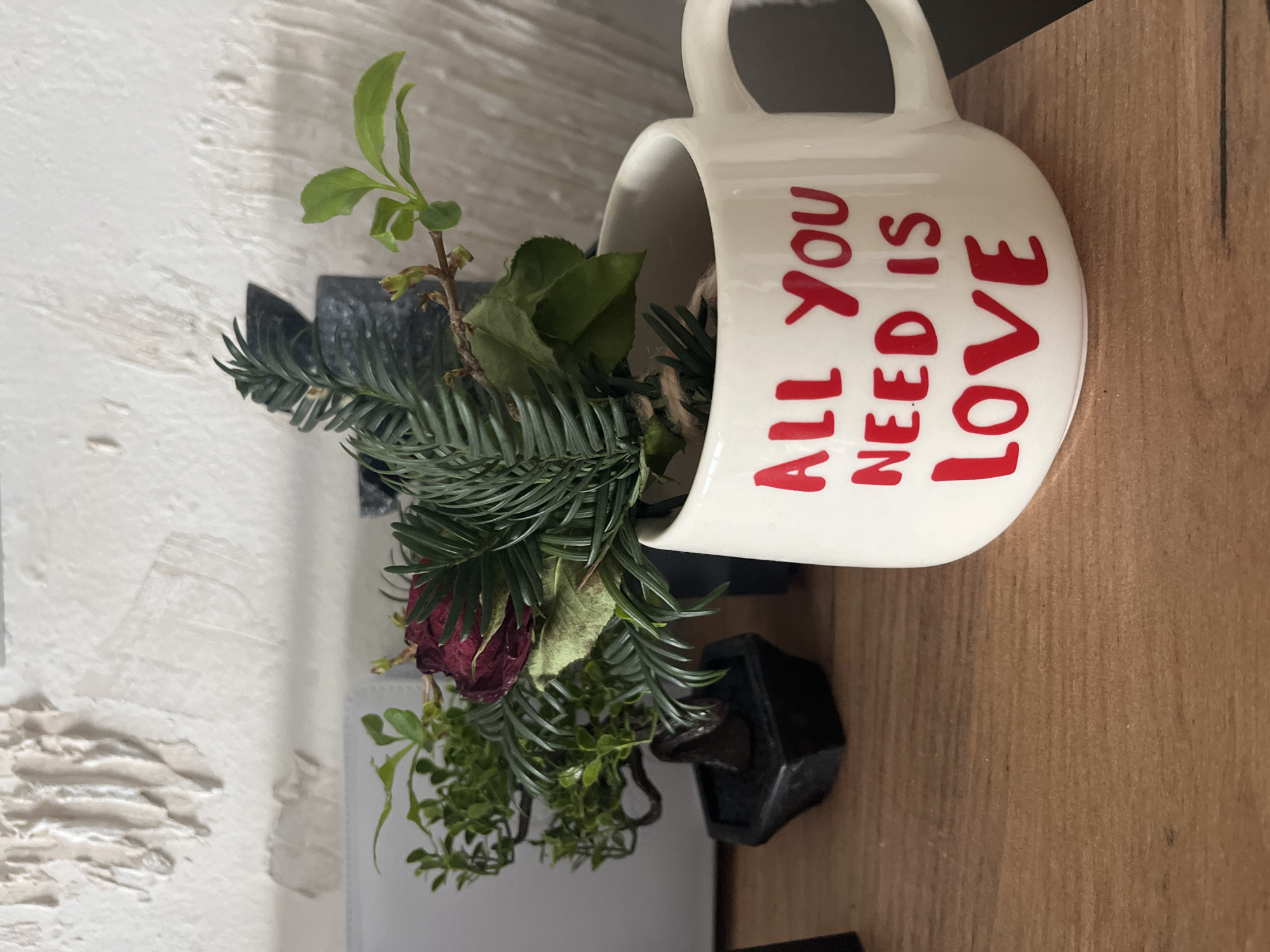 A still life shot captures a white mug with the phrase "ALL YOU NEED IS LOVE" in red letters, arranged with an assortment of greenery. The mug is filled with various plants including pine needles, small green leaves, and a single dried rose. The scene is set on a wooden surface, with a textured white wall in the background. A small black planter adds to the composition. This scene is unlikely to be in Varna, Bulgaria, since there's no visible cue in the image for the specific location.