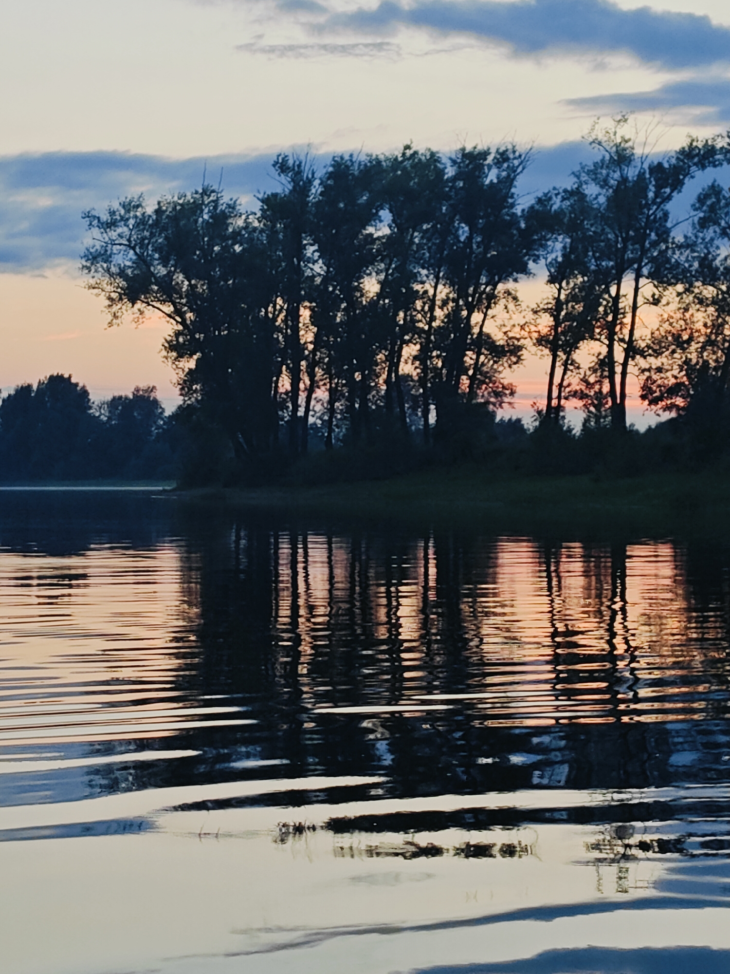 This media file captures a serene sunset over a body of water, likely a lake or river, in Ol'khovskoye, Russia. The scene is dominated by the silhouettes of tall, slender trees lining the distant shore, their dark forms stark against the soft hues of the twilight sky. The sky itself is a gradient of pale blue and soft orange, with wispy clouds contributing to the tranquil atmosphere.
The water in the foreground is calm, with gentle ripples that reflect the colors of the sky and the treeline. These reflections are distorted by the water's movement, creating abstract patterns of light and shadow. The overall impression is one of peacefulness and natural beauty.
The time of day is clearly evening, as indicated by the sunset colors and the subdued lighting. The weather appears to be calm, with no strong winds evident. The location in Russia is inferred from the metadata. No people or specific objects are visible, nor are there any discernible activities or events taking place beyond the natural progression of day into night. The emotional tone evoked is one of tranquility, serenity, and quiet contemplation. No text is visible in the image.