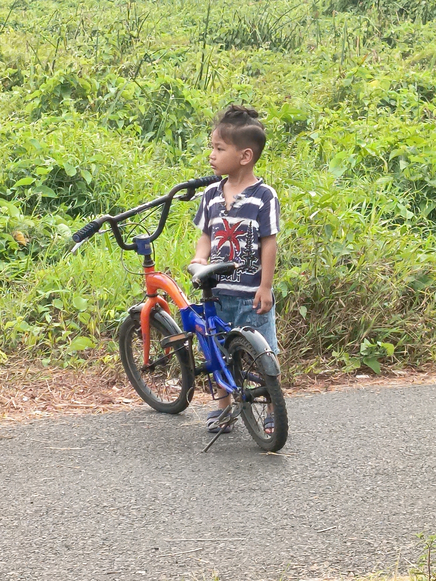 In a rural setting resembling the outskirts of Banjarmasin, Indonesia, a young child stands next to a small bicycle. The child, with a distinctive hairstyle, is wearing a striped t-shirt and denim shorts. The bicycle itself is a prominent subject, featuring a blue frame with orange accents on the front fork and handlebars. The bicycle is positioned on an asphalt road, with a dense green vegetated area bordering the road on one side, indicative of undeveloped land. The lighting suggests it is daytime, likely overcast given the soft shadows. The scene conveys a sense of childhood and simple outdoor activity in a natural, unurbanized environment.