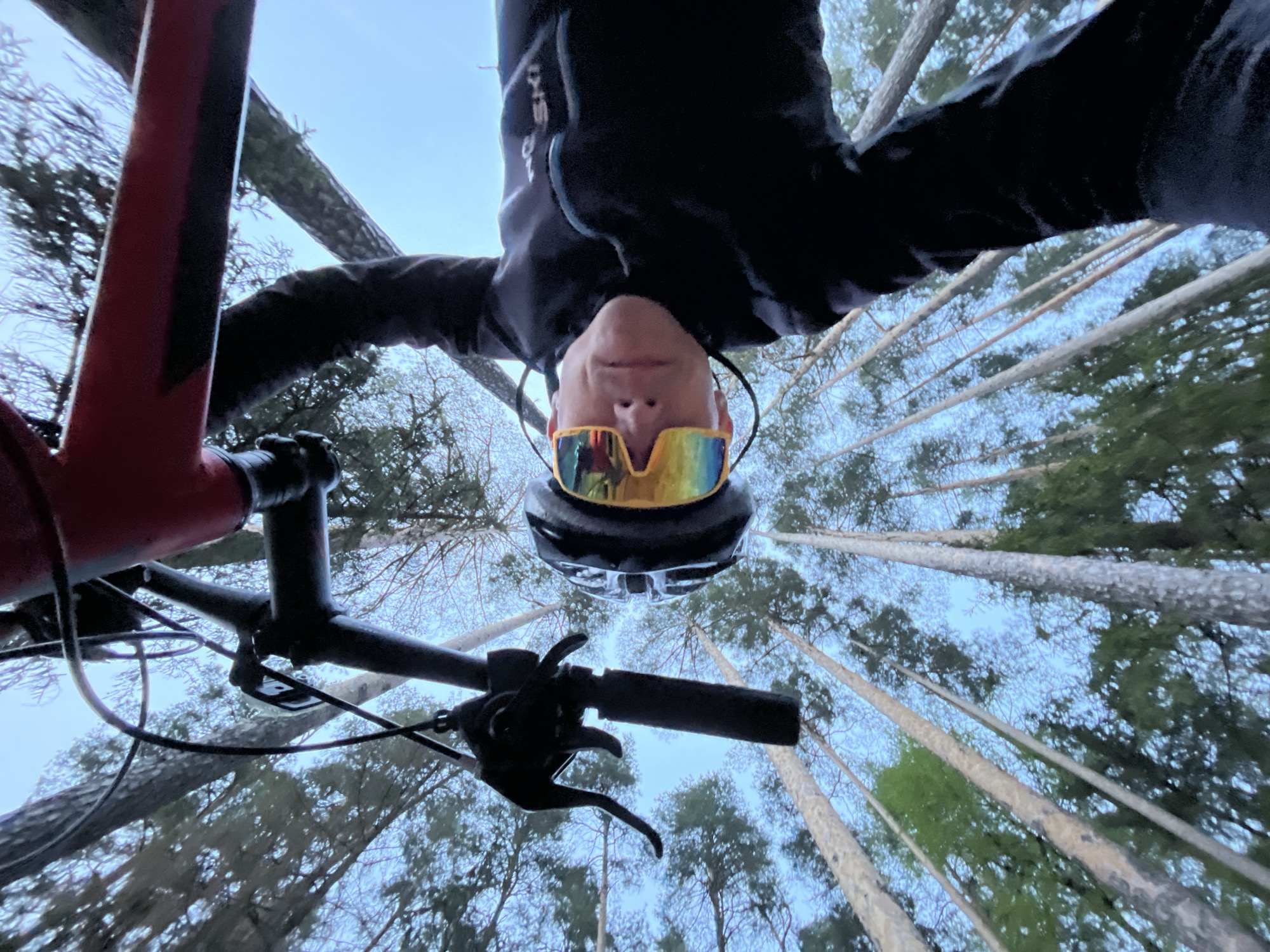 A low-angle, upside-down selfie in a forest, likely taken using a wide-angle lens or a phone. A person wearing a black helmet and reflective yellow/rainbow sunglasses is visible in the center frame. They are wearing a dark-colored jacket or top. The image is taken from the perspective of someone on a bicycle, with the handlebars and parts of the red frame visible. A dense forest of tall trees with mostly bare branches fills the background. The sky is visible between the trees. The location is likely in a forested area near Chaikovsky, Russia, based on the user's request, but there are no specific details visible in the image that confirm this location.