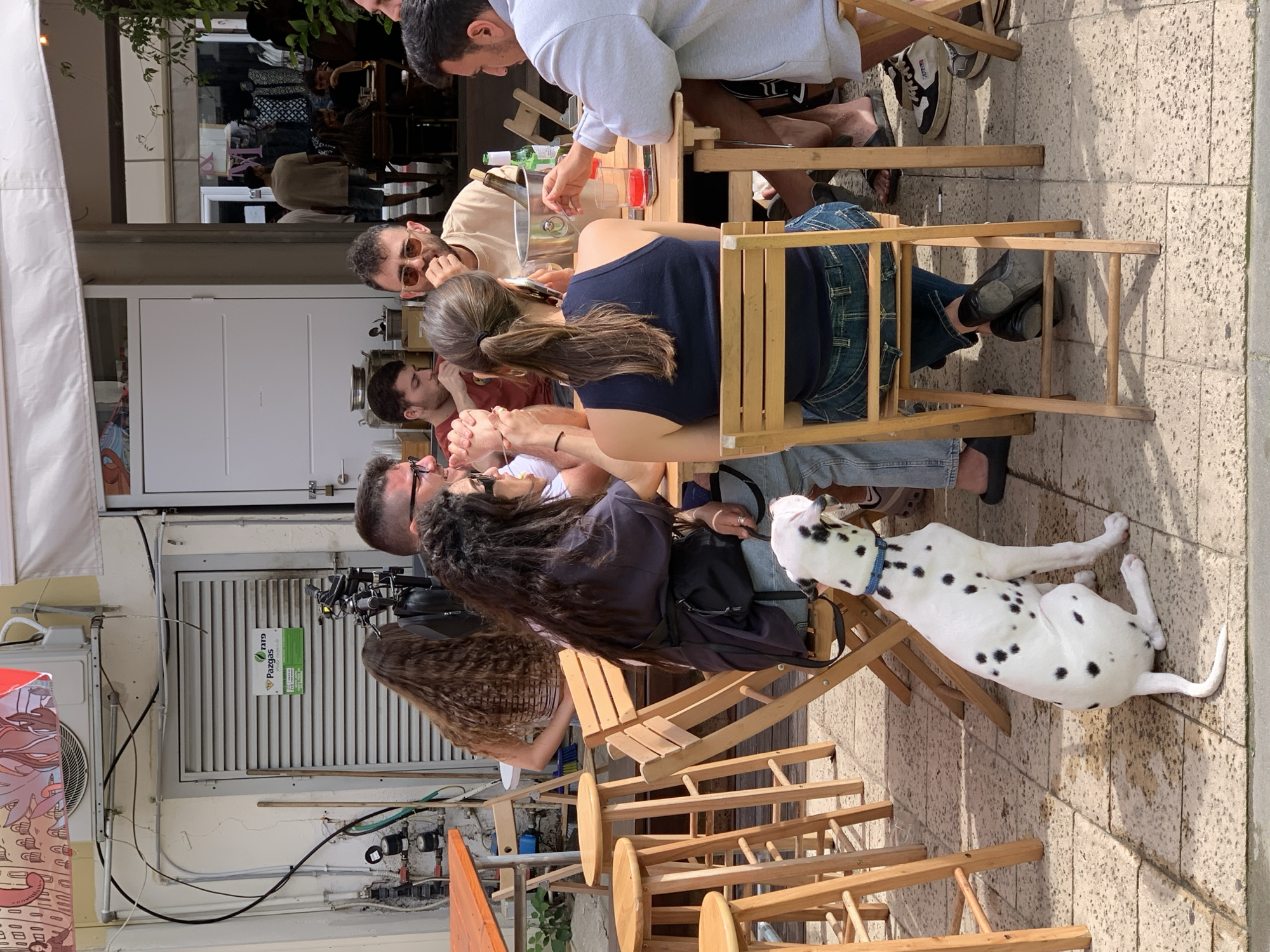 This image depicts an outdoor scene at a street-side cafe or restaurant patio, likely in Tel-Aviv, Israel, during bright, sunny daylight hours, as indicated by the strong shadows.
Several individuals, mostly adults, are seated around simple wooden folding tables and chairs. They appear to be socializing, conversing, and possibly enjoying food or drinks. One person wears sunglasses, another holds a phone, and others are in relaxed poses, suggesting a casual gathering. The overall mood seems pleasant and engaged.
A notable subject is a Dalmatian dog, white with distinct black spots and wearing a blue collar, calmly lying on the paved ground next to one of the tables. The dog appears to be an integrated part of the group.
The setting includes a white building facade with a door and a reflective shop window in the background. On the left, a white canopy or awning provides shade. Various utility fixtures are visible on the wall, including an air conditioning unit, pipes, and electrical wiring. A prominent green sticker attached to a metal grate on the wall clearly displays the Hebrew text "Pazgas" (פזגז), identifying an Israeli gas company. The ground is covered with light-colored rectangular paving tiles. The tables hold bottles, glasses, and an ice bucket, contributing to the cafe atmosphere.