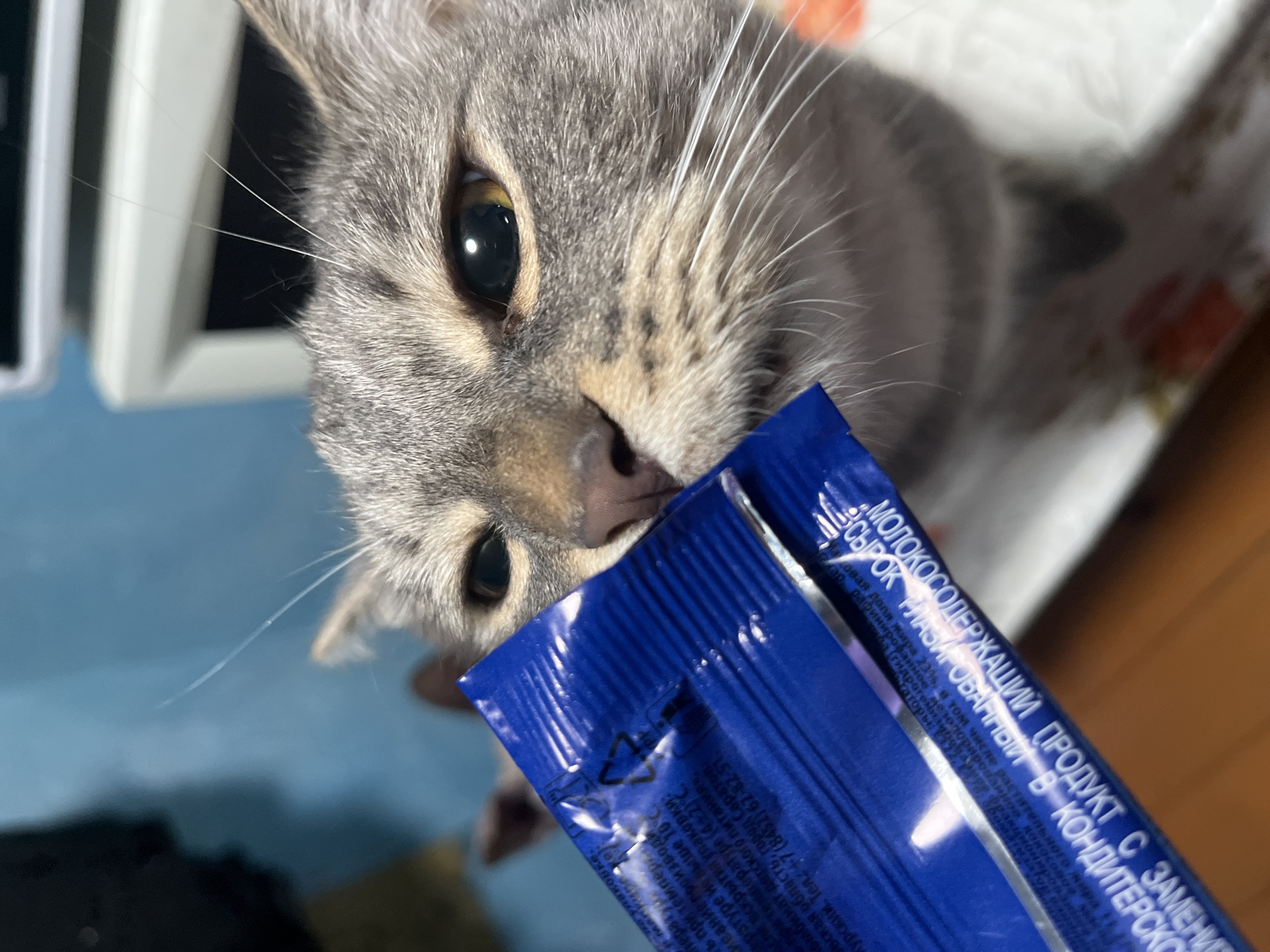 A close-up shot focuses on a tabby cat's face as it sniffs a blue packet. The cat's right eye is prominently visible, reflecting light, and its whiskers extend outwards. The blue packet, likely food packaging, is partially obscuring the cat's nose and mouth. Text is visible on the packet, suggesting it contains food ingredients or product information. The background is out of focus, showing a blurred blue wall and a white appliance. There are no discernible elements to place this image in Nizhny Tagil, Russia.