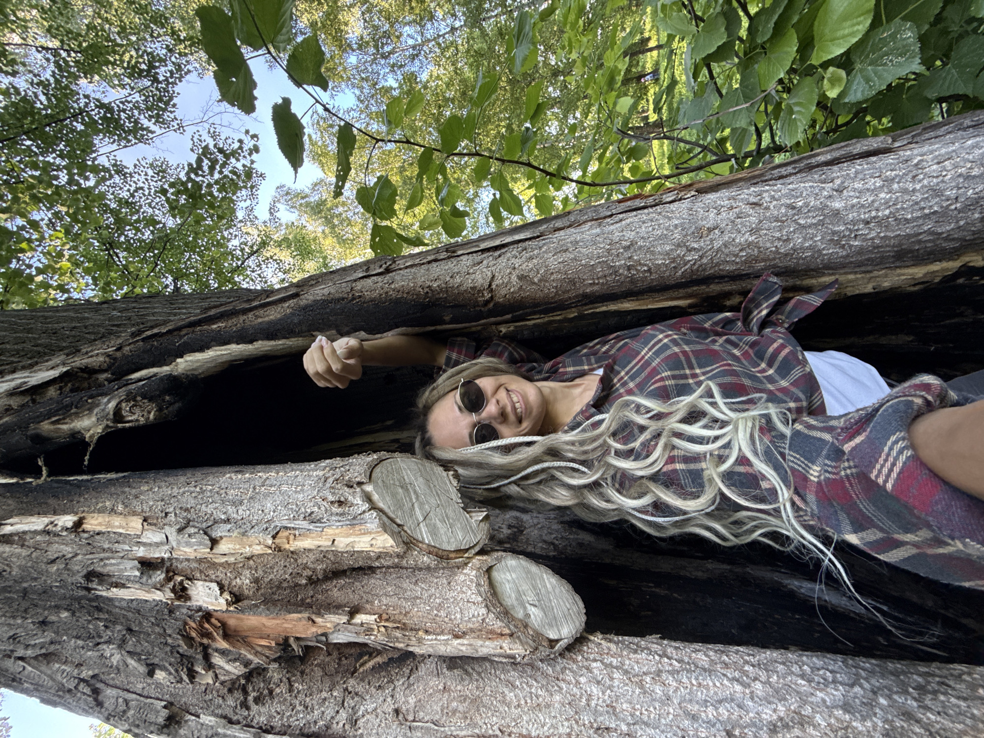 A young woman is captured in a unique perspective, lying on her back inside a large, hollowed-out tree trunk. She is smiling broadly, looking upwards towards the camera, with a happy and relaxed expression. Her long, wavy blonde hair, interspersed with some lighter braided sections, spreads out around her head and onto the rough interior of the log. She wears a plaid shirt with dark red, black, and beige patterns over a white top, and round, dark sunglasses. Her left hand is visible near her head, partially resting on the log's edge.
The tree trunk itself is dark and weathered, with rough bark and a hollowed interior showing a mix of dark, possibly decayed wood and lighter, exposed wood grain. Two round, cut-off sections of smaller branches are visible within the main log, near her head.
Above and around the tree trunk, a canopy of vibrant green leaves and branches is visible against a clear, bright blue sky. This suggests an outdoor setting, likely a forest or wooded area, under sunny daytime conditions. The image conveys a sense of adventure, nature, and joy. No text is visible in the image.