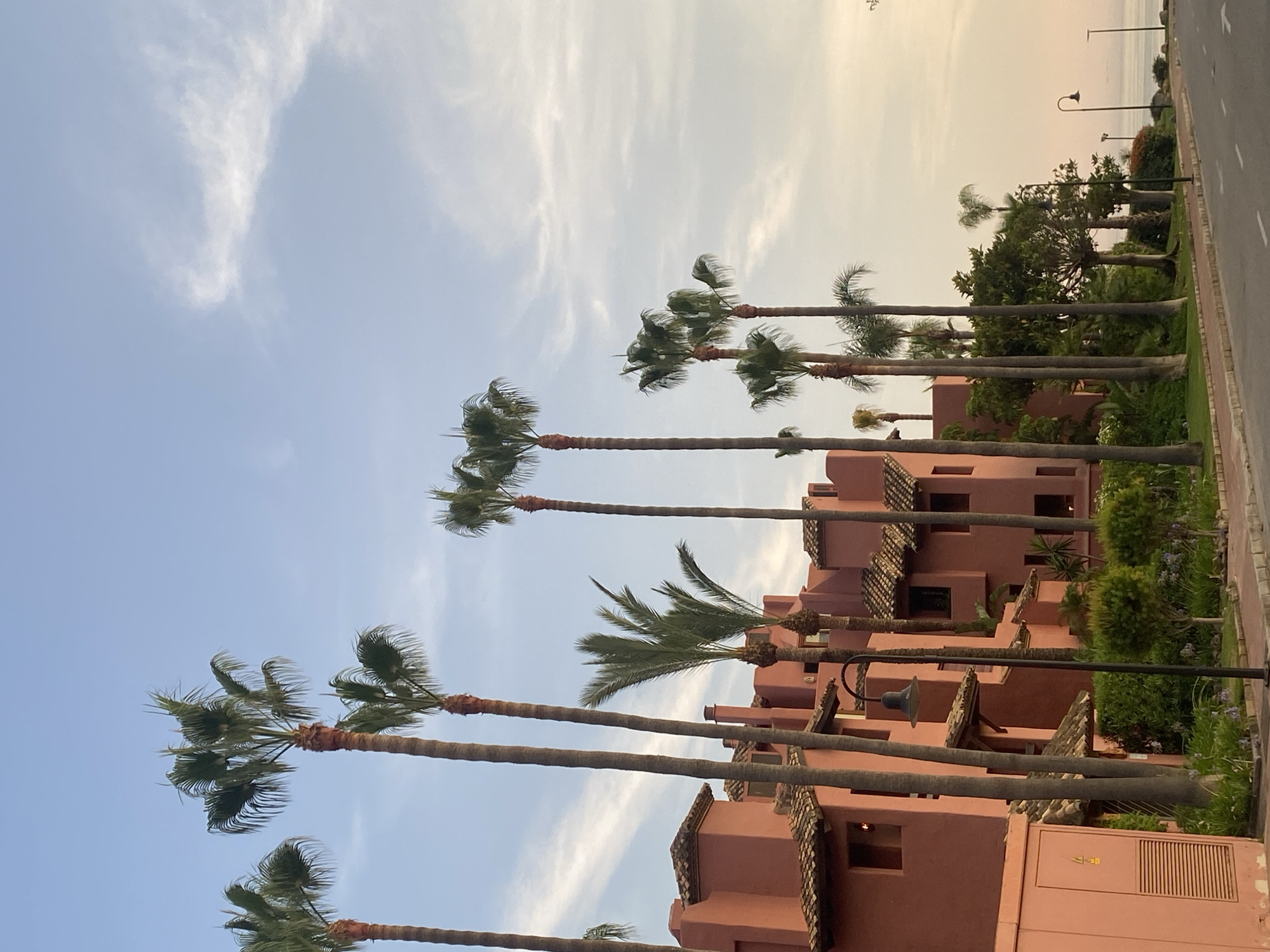 In Estepona, Spain, a street is lined with palm trees and a salmon-colored building with terracotta roof tiles. A sidewalk runs alongside the street, with a lamppost and manicured bushes. The sky above is a pale blue with wispy clouds, and the sun appears to be setting or rising, casting a soft light over the scene. In the distance, the sea is visible. There are no people or animals in the image. The environment is tranquil and scenic, suggesting a resort or residential area.