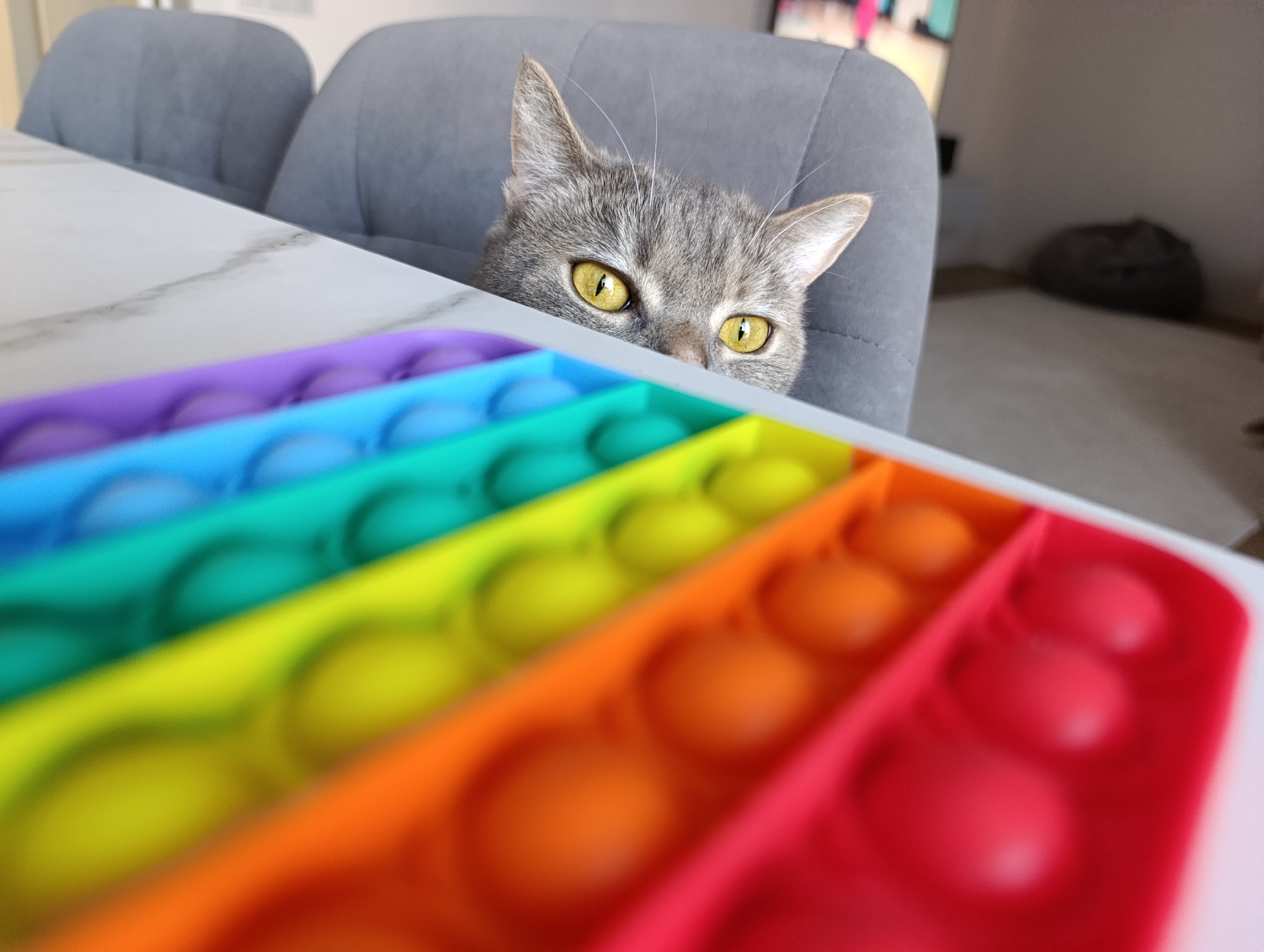 A gray tabby cat with yellow eyes peers over the edge of a table. A rainbow-colored "pop-it" fidget toy is placed on the table in front of the cat. The cat is sitting on a gray upholstered chair. The table has a white marbled surface. In the background, out of focus, there is a beanbag chair and what appears to be a television. The photo was taken indoors. There is no information about the city of Chaikovsky, Russia.