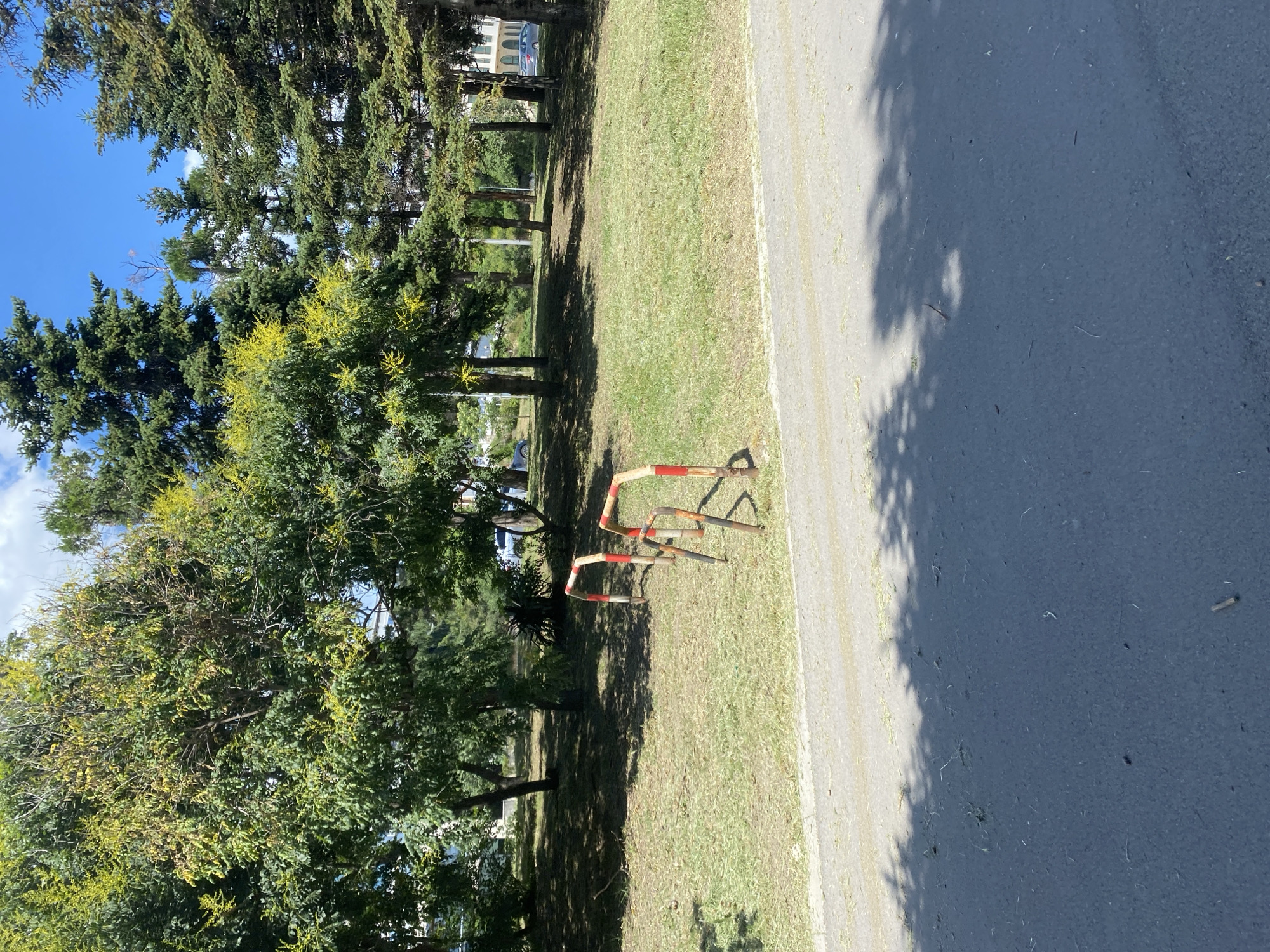 The image depicts an outdoor scene featuring a grassy area with several trees, some with yellow blossoms, and a paved path. In the foreground, there is an asphalt road with shadows cast on it from unseen trees. Two metal bicycle racks, painted red and white, are positioned in the grassy area. Behind the racks, the grass appears to have been recently mown. Various trees, including evergreen and deciduous types, are visible, with some foliage showing signs of yellowing. In the background, buildings and cars suggest an urban or suburban setting. The sky is blue with scattered white clouds. The scene is consistent with a park or public green space in Varna, Bulgaria. There are no people visible in the image.