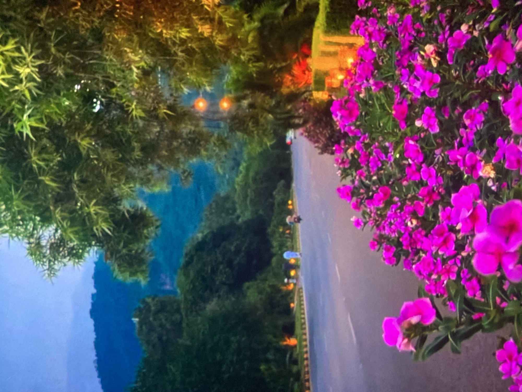 The image depicts a road lined with lush vegetation and vibrant pink flowers. In the background, rolling hills are visible under a twilight sky. Several people are seen walking and riding on a motorcycle along the road. Ornate streetlights illuminate the scene, casting a warm glow on the surroundings. The environment appears to be a well-maintained urban area, possibly a park or a boulevard, with a focus on natural beauty and landscaping. The overall impression is one of tranquility and natural splendor.