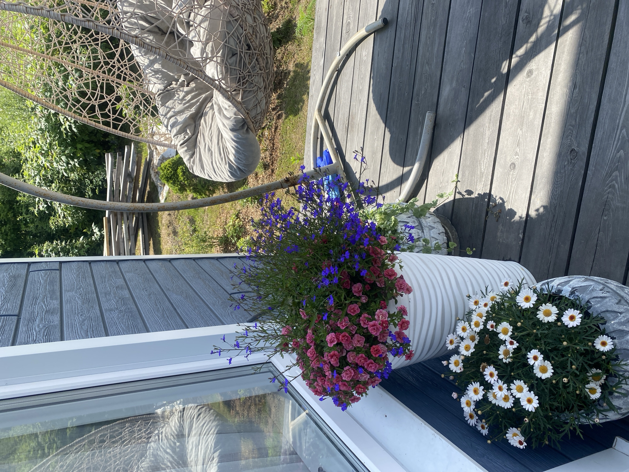The image depicts an outdoor scene on a wooden deck, likely in the city of Tret’ya Pad’, Russia. The deck is made of weathered gray planks. To the left, a section of a house with dark blue horizontal siding and a white window frame is visible. In front of the window, two planters with flowers are placed. The larger planter, a white ribbed cylinder, contains a dense arrangement of small pink roses and delicate blue lobelia. To the left and slightly in front of it, a smaller, gray, textured planter holds white daisies with yellow centers.
In the background, to the right of the house, a light-colored hanging chair with a thick cushion is suspended from a metal stand. Beyond the deck and hanging chair, lush green trees and foliage create a natural backdrop. Sunlight casts shadows across the deck, indicating a bright, sunny day. There are no people visible in the image.