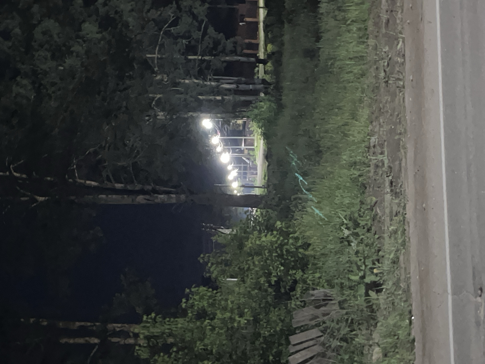 The image shows a dark, outdoor scene in Chaikovsky, Russia, likely at night. A paved road is visible on the right side of the frame. To the left of the road is grassy area and dense foliage, including bushes and trees. In the distance, a pathway is illuminated by a string of lights. The trees on the left obscure much of the background.