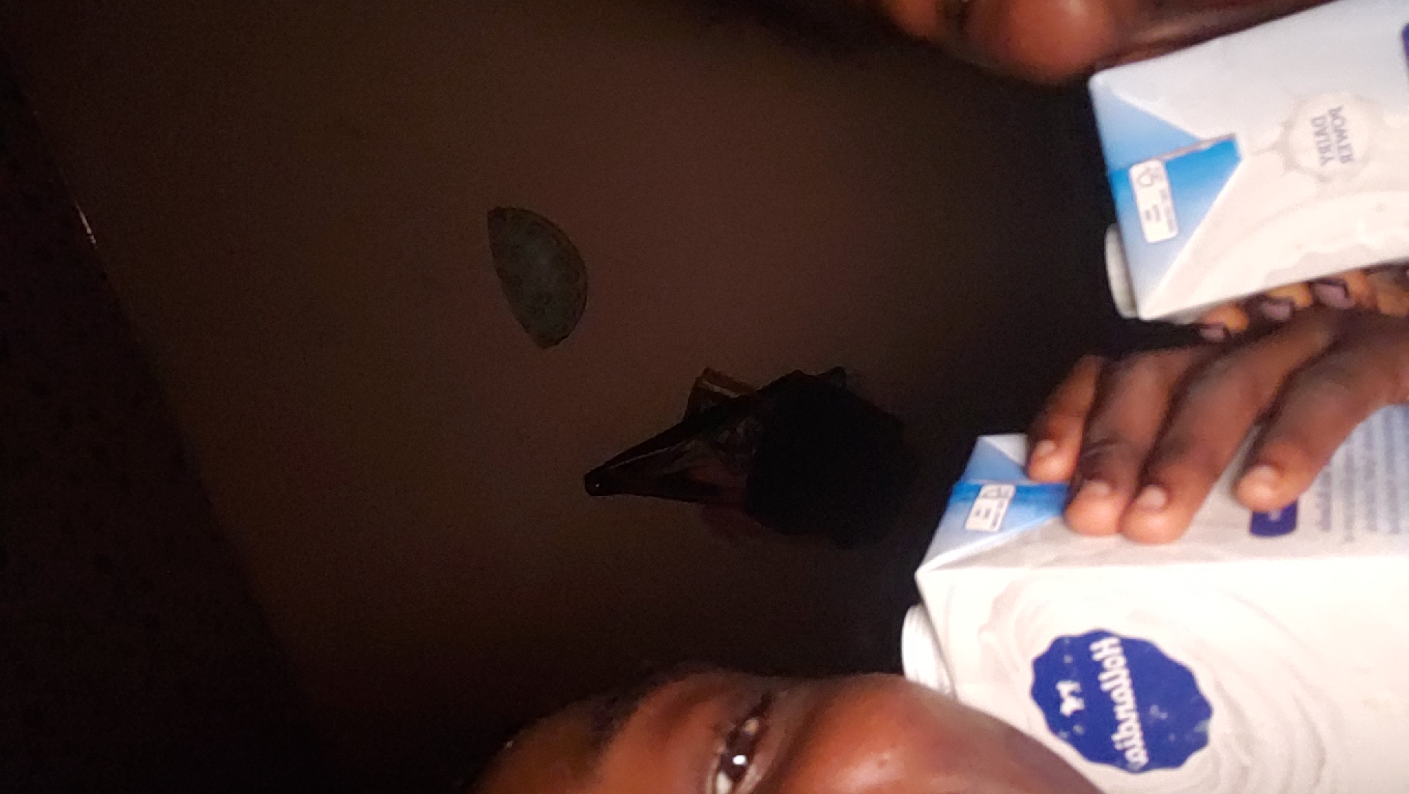 This image captures a low-light indoor scene in Rido, Nigeria, showing two individuals from a low-angle perspective, holding dairy cartons.
In the foreground, two individuals are partially visible. On the far left, a person's dark-skinned face is seen from the eyes downwards, with a visible right eye, a slight smile, and part of the nose and cheek. Their dark-skinned hand holds a white carton labeled "Hollandia" (reversed text, blue oval logo with white swirling pattern). The carton is a standard rectangular, gable-top container for liquid food.
On the far right, another person's dark-skinned face is partially visible, showing a smile and part of the cheek. Their dark-skinned hand holds a similar white carton, labeled "DAIRY POWER" (reversed text, blue detail on the top flap). Both cartons appear to be full-sized, possibly 1-liter, and are held upright. The hands are positioned on the sides of the cartons.
The background consists of a dark brown or maroon ceiling or upper wall, suggesting a dimly lit indoor environment. Near the center-left, a dark, irregularly shaped object hangs downwards, possibly a bag or piece of fabric. Towards the upper-right quadrant, a lighter, crescent-shaped or semi-circular object with a textured surface is affixed to the wall/ceiling, resembling a decorative element or a light fixture. The overall lighting is dim, casting a subdued, warm tone over the scene.