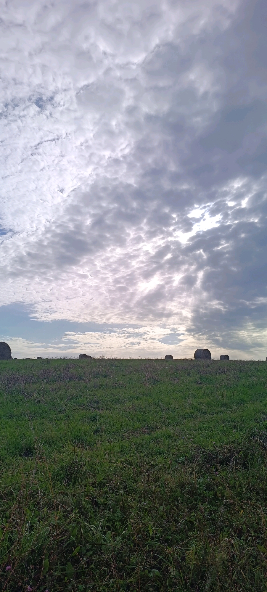 The image depicts a rural landscape under a cloudy sky. In the foreground, a field of green grass stretches towards the horizon. Scattered across the field in the middle ground are several large, round hay bales, some appearing dark and weathered. The sky above is filled with a complex pattern of clouds, with shafts of sunlight breaking through in places, creating a dramatic effect. The environment appears to be a field of hay ready for collection or recently harvested. There are no people or animals visible in the scene. The location in Karsha, Russia is not indicated by any specific landmarks or textual information within the image itself.