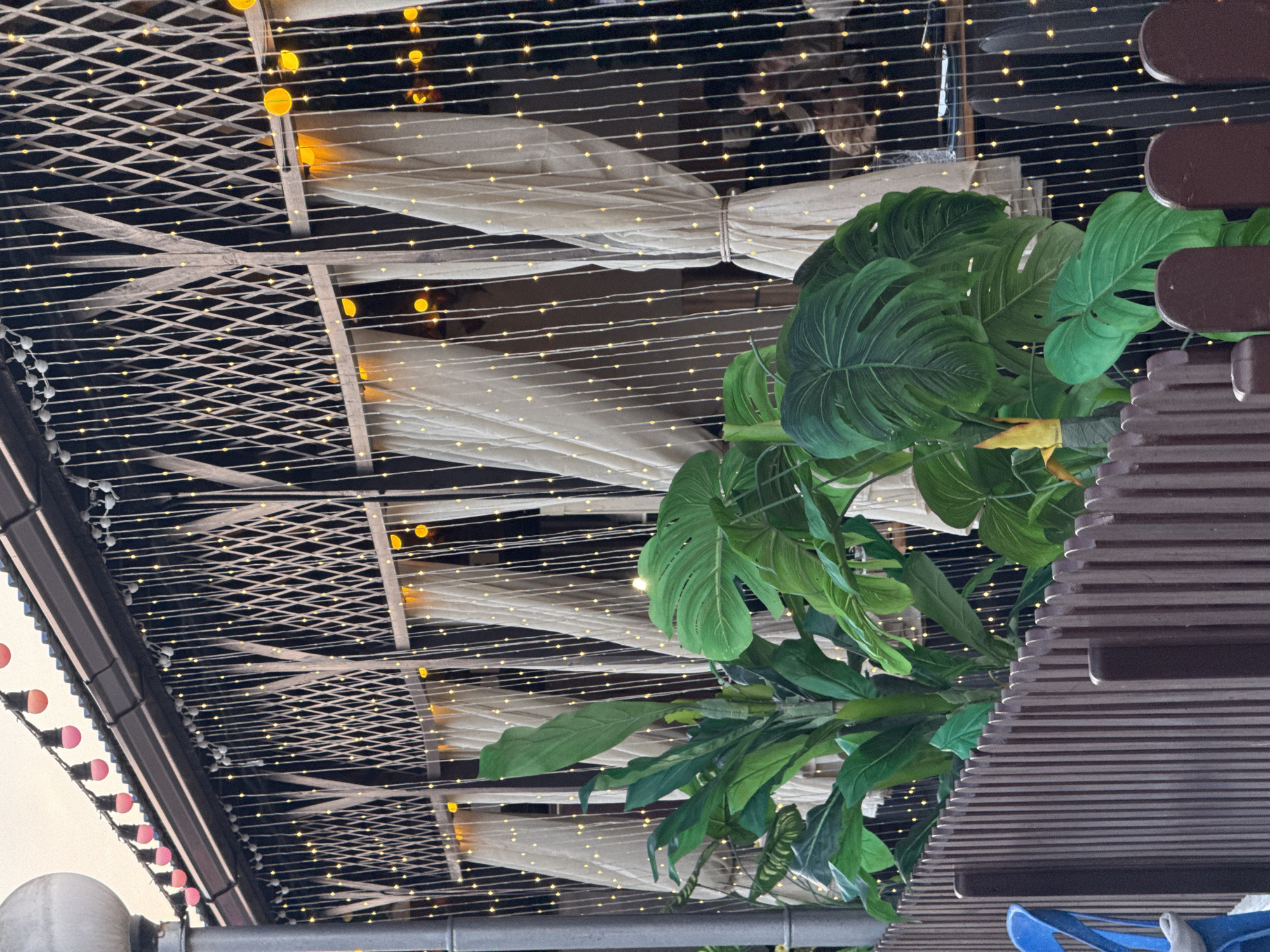 The image depicts a facade of a building, possibly a cafe or restaurant, adorned with numerous fairy lights. The lights are strung vertically from a dark-colored roofline, creating a shimmering curtain effect. In front of this illuminated backdrop, lush green plants, including a large-leafed Monstera, are arranged. A dark brown wooden fence runs along the foreground, partially obscuring the plants. The overall scene suggests an outdoor seating area or an entrance decorated for an evening ambiance. The setting is identified as the city of Nebug, Russia. There are no discernible people in the image, but the presence of tables and chairs visible through the lights and curtains hints at a public establishment.