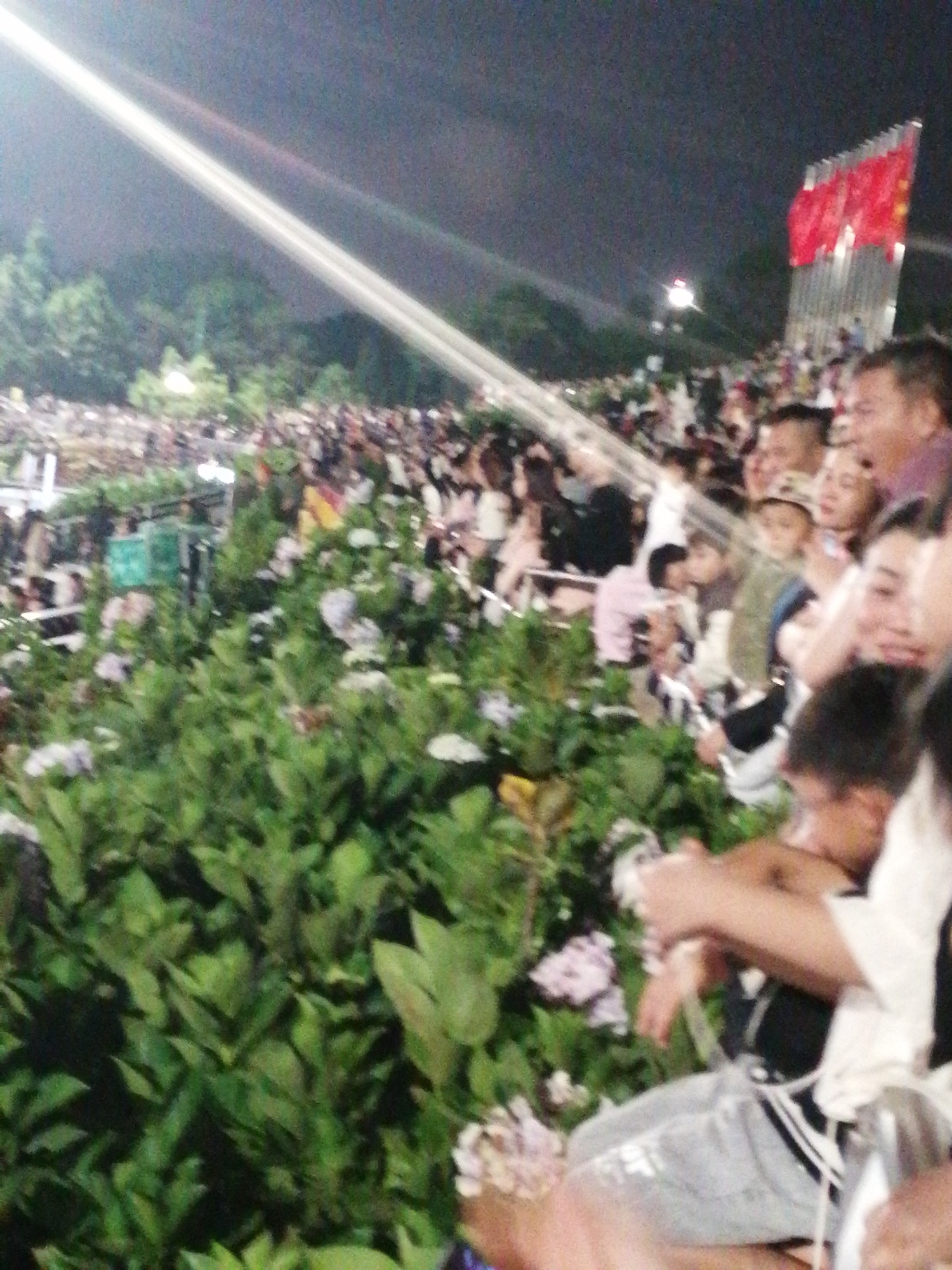 The image depicts a nighttime outdoor event with a large crowd gathered. In the foreground, lush green foliage with small purple flowers is prominent. Behind the foliage, numerous people are visible, some appearing to be sitting or standing. In the background, a row of red flags on poles is displayed against a dark sky. A bright light source, possibly a spotlight or a flare, illuminates a portion of the sky. The overall scene suggests a public gathering or celebration. While the specific location in Da Lat, Vietnam cannot be definitively determined from the image alone, the presence of numerous people and decorative flags indicates a significant event.